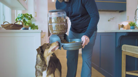 Style Your Pet In Quality