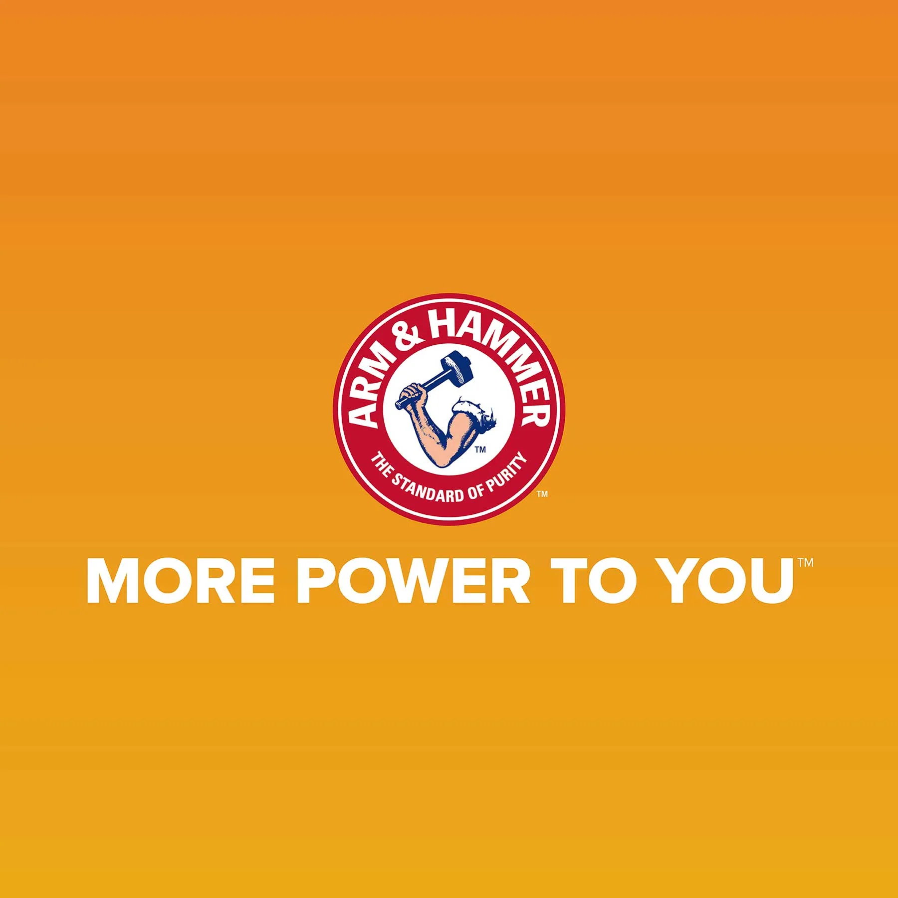 Arm & Hammer Large Rimmed Wave Litter Box - Image 6