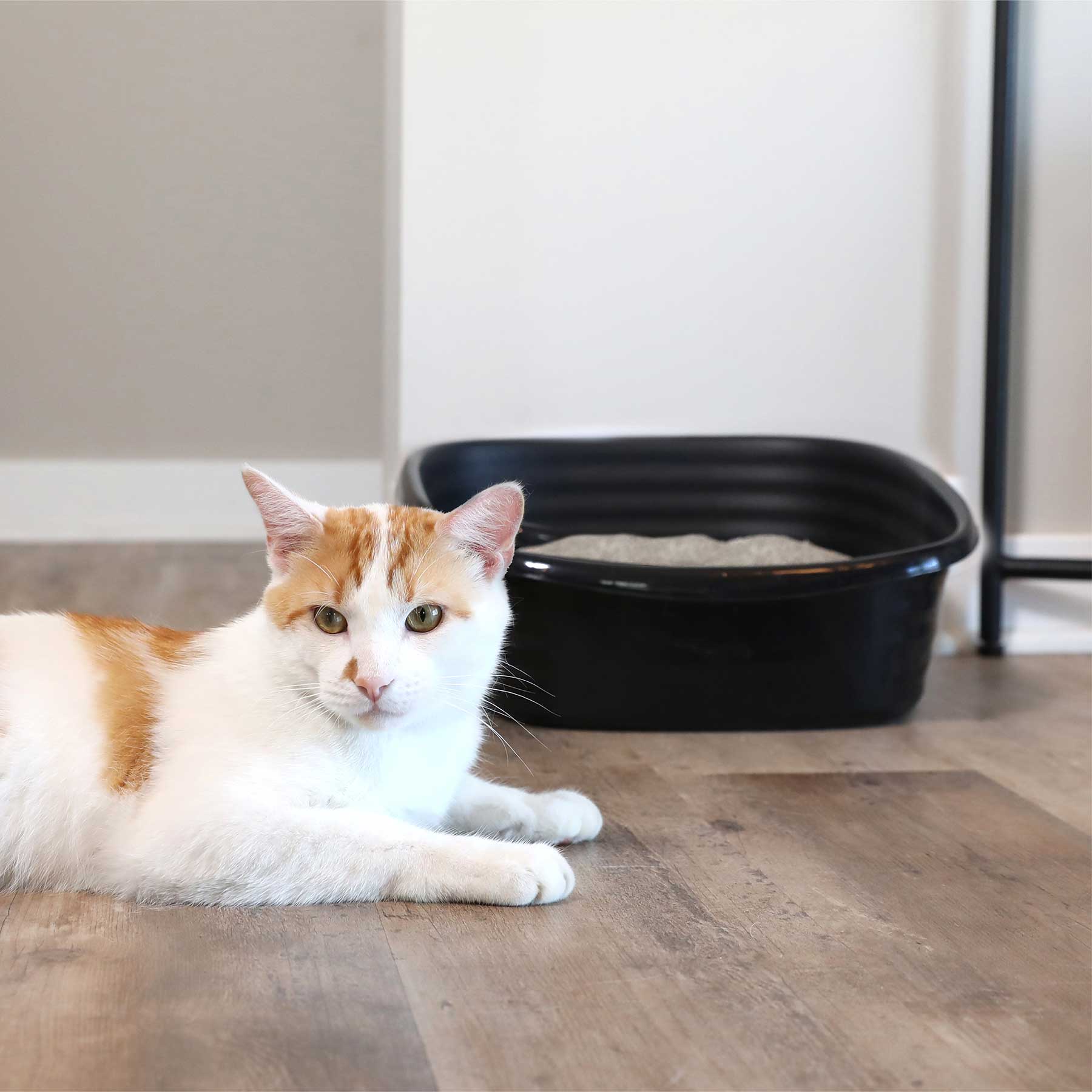Arm & Hammer SimplyRecycled Wave Litter Box - Image 6
