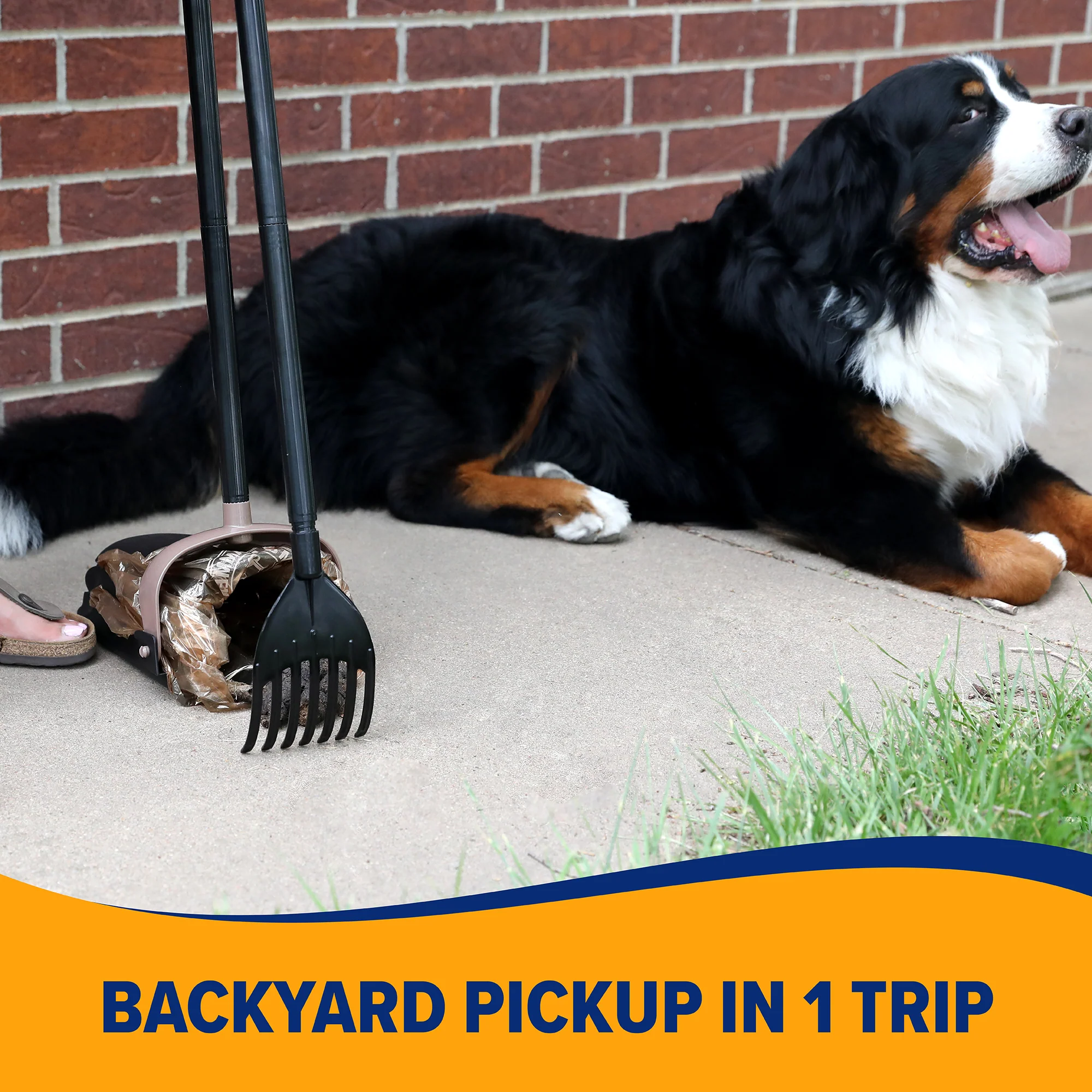 Arm & Hammer Swivel Bin & Rake - Image 5