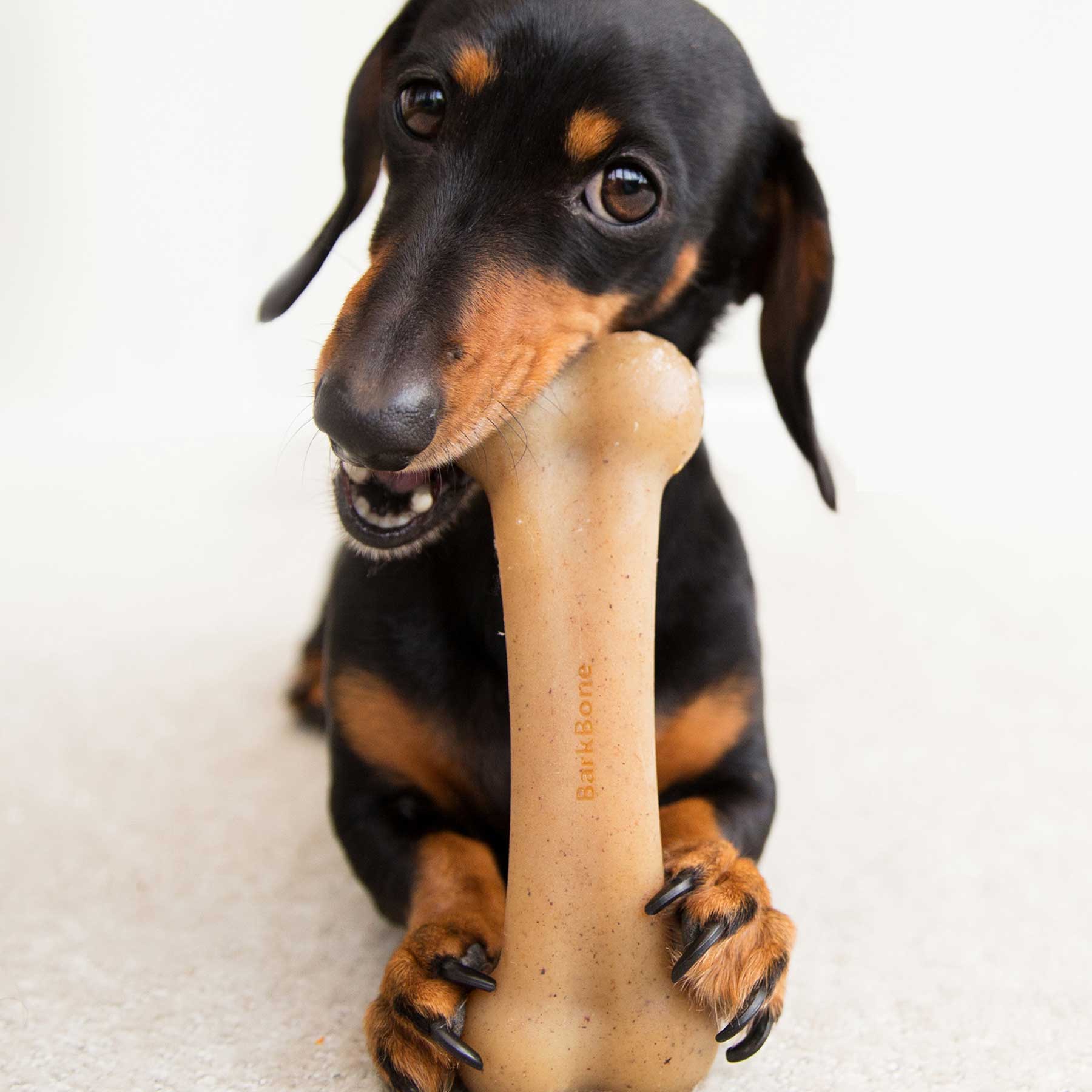 BarkBone Natural Instincts Bacon-Infused Nylon Dog Chew - Image 6