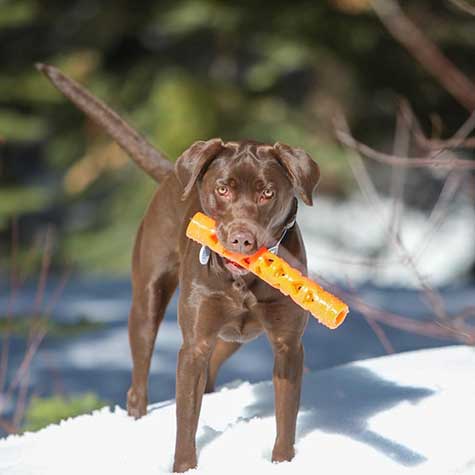 Chuckit! Air Fetch Stick Dog Toy - Image 5