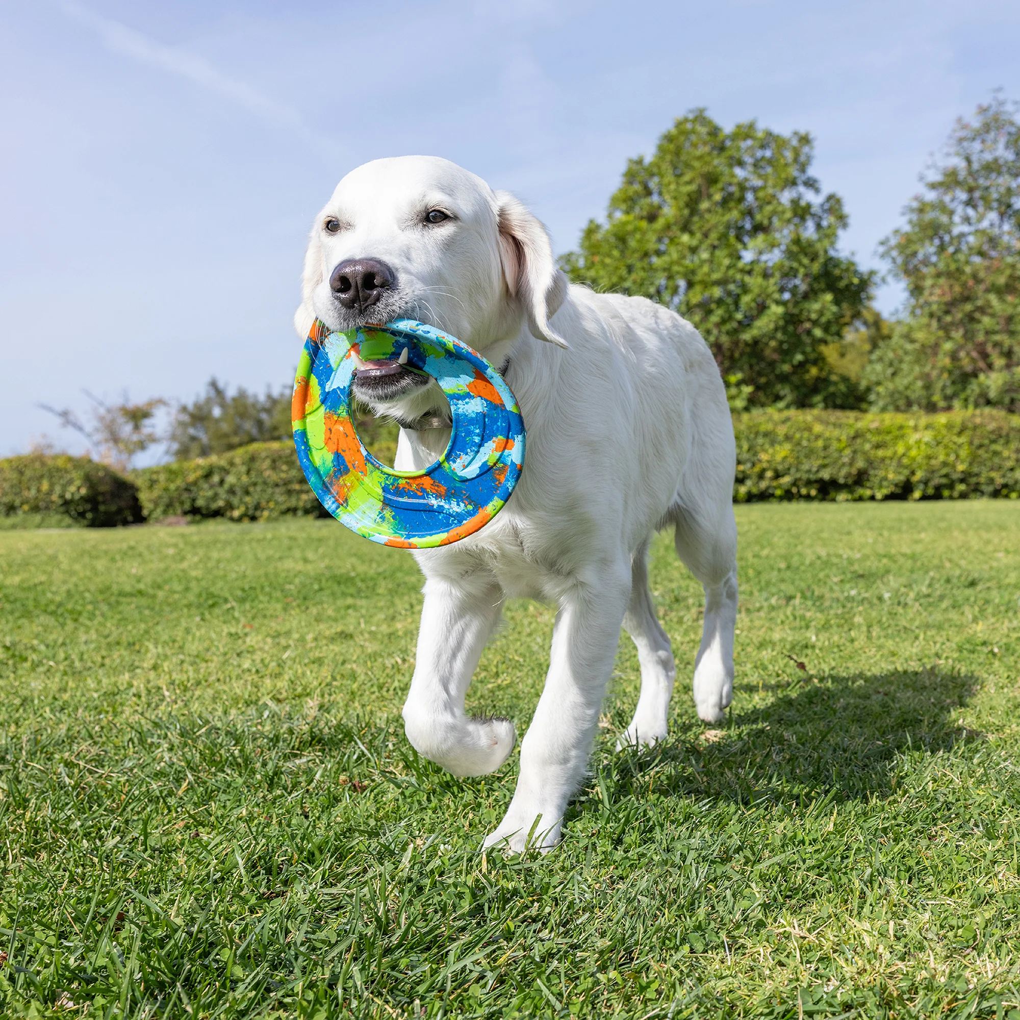Chuckit! EcoFetch Recycled Rubber Flyer - Image 5