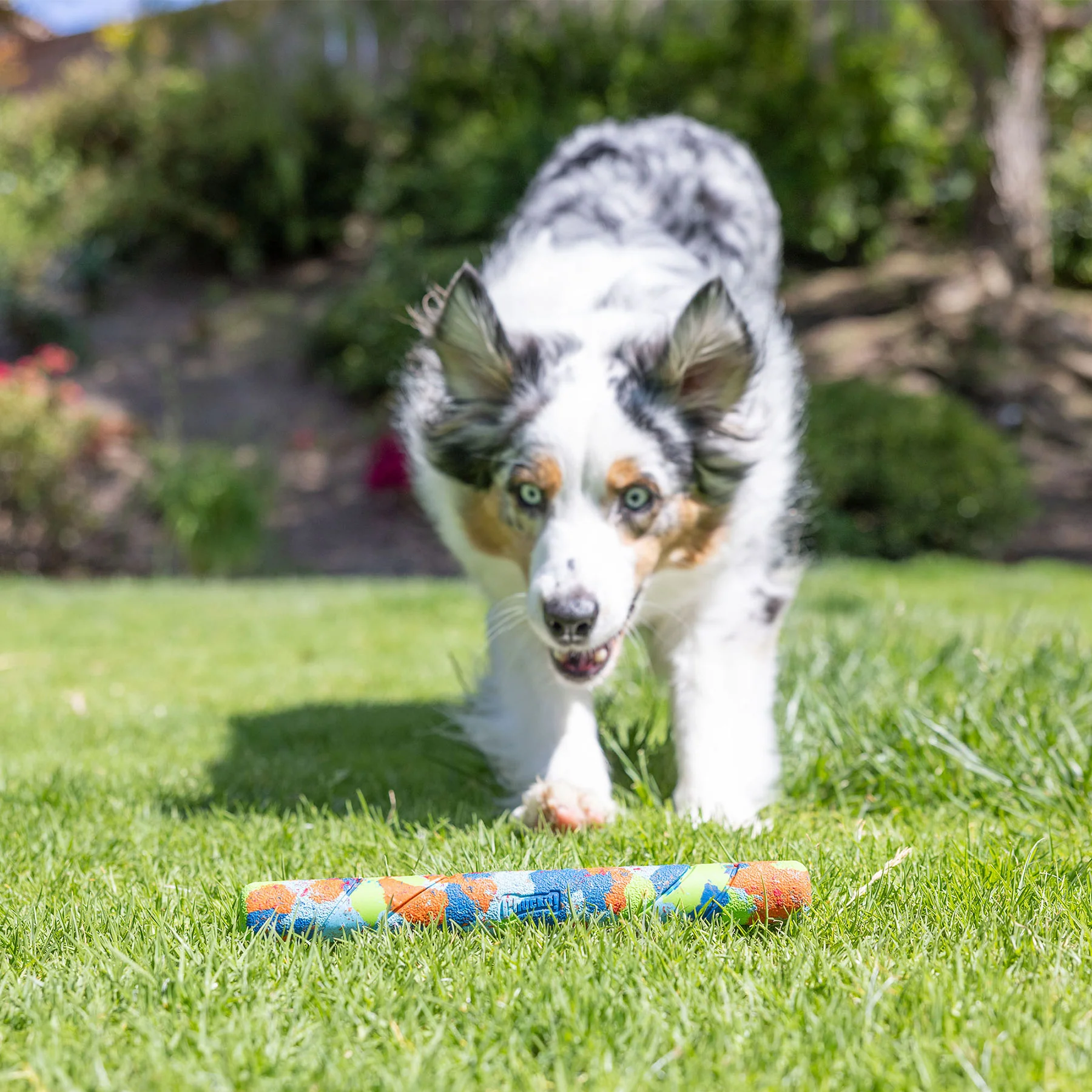 Chuckit! EcoFetch Recycled Rubber Fetch Stick - Image 4