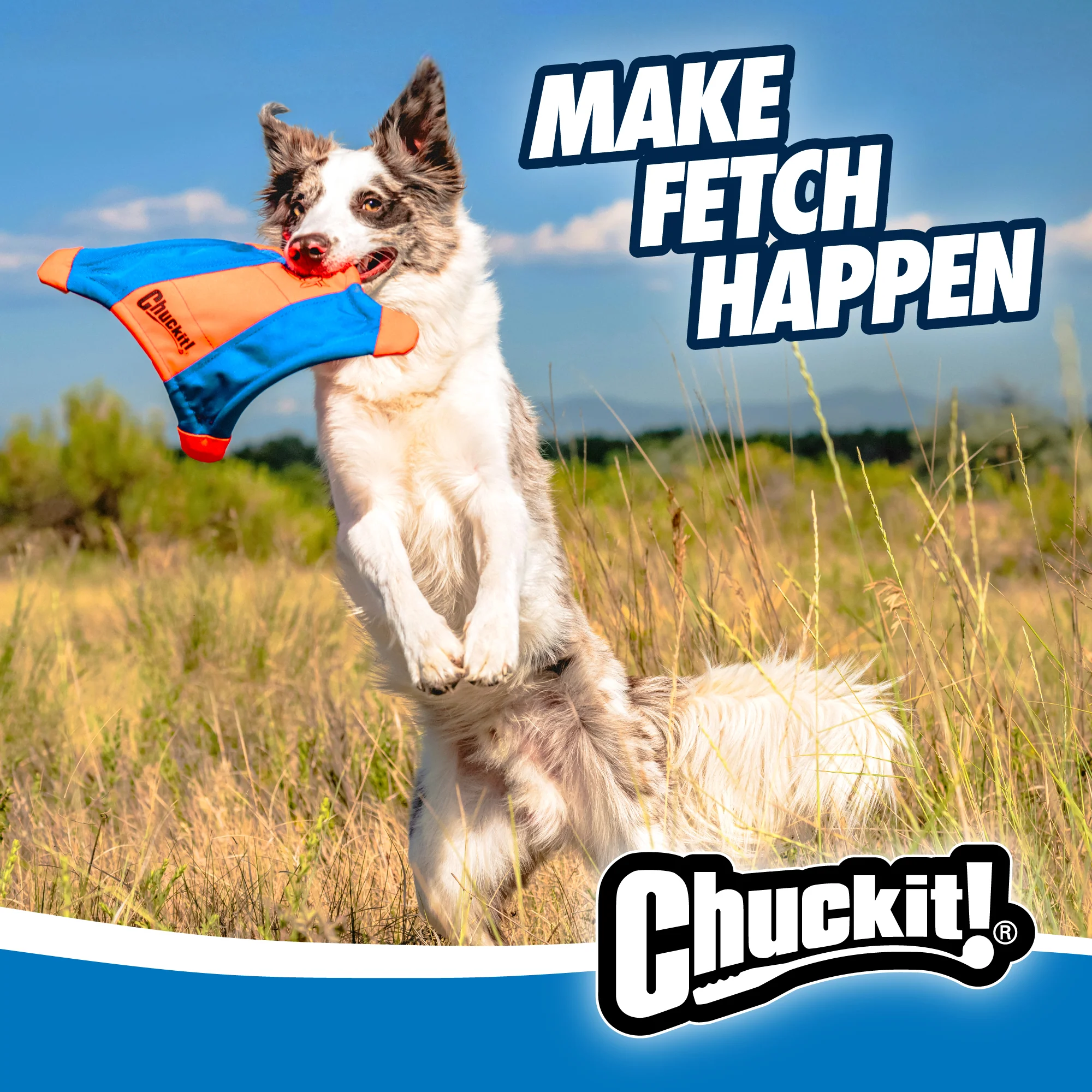 Chuckit! Flying Squirrel - Image 6