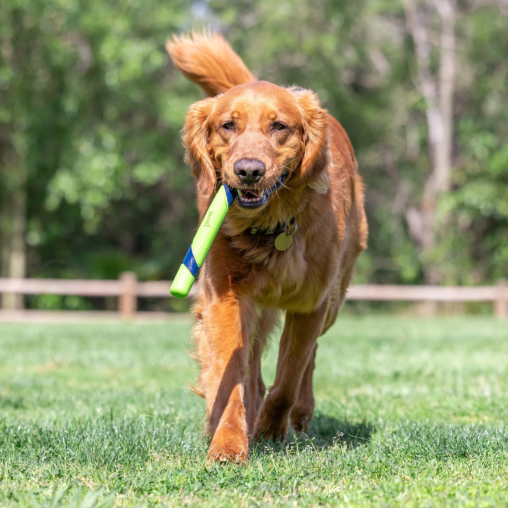 Chuckit! Sniff Fetch Stick Dog Toy - Image 5