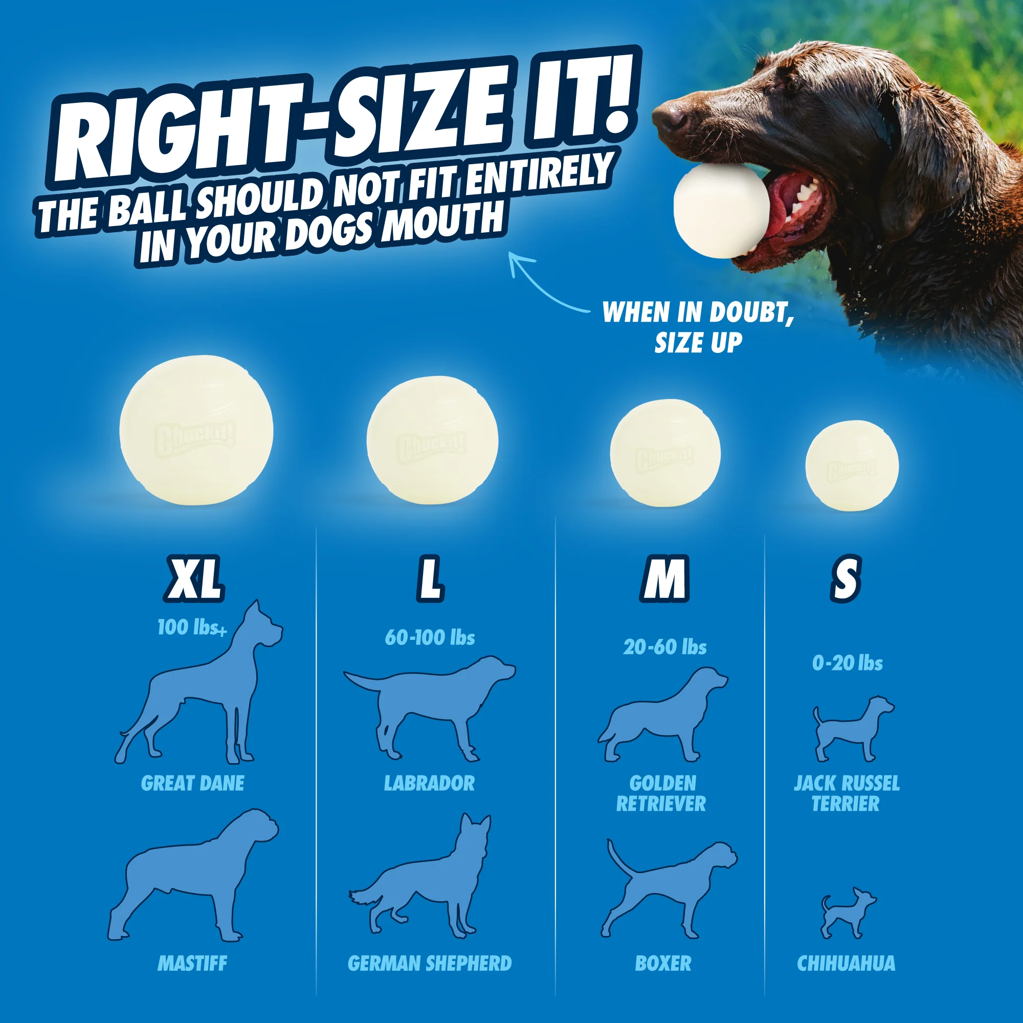 Chuckit! Max Glow Fetch Ball - Image 3