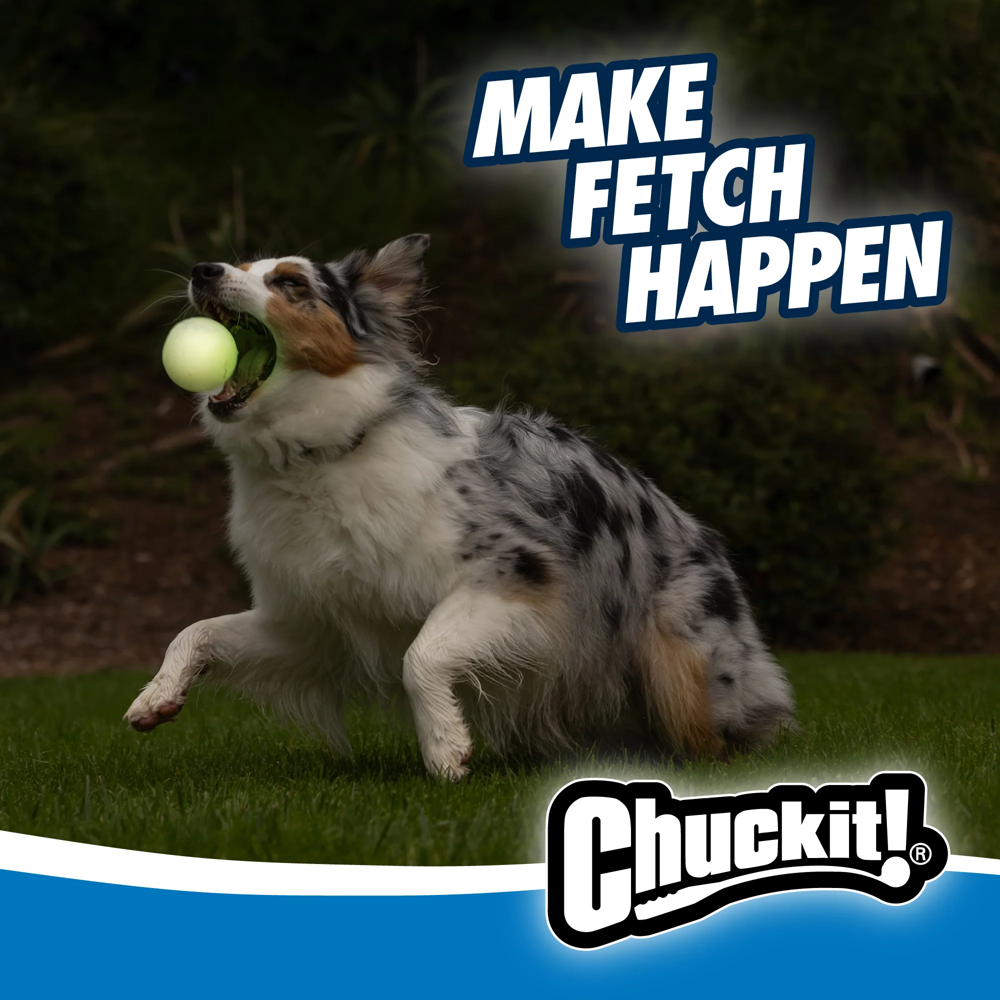 Chuckit! Max Glow Fetch Ball - Image 4