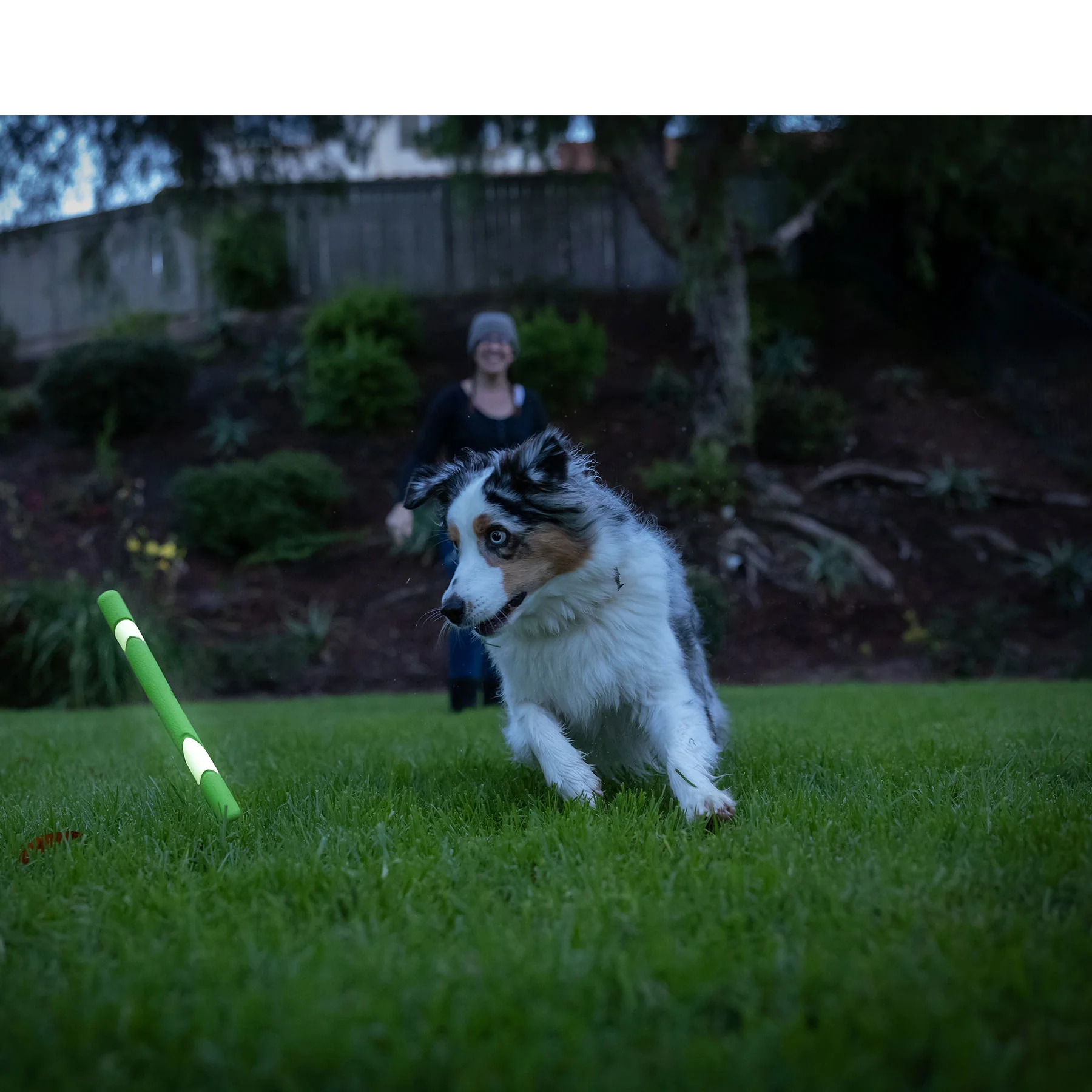 Chuckit! Max Glow Ultra Fetch Stick - Image 5
