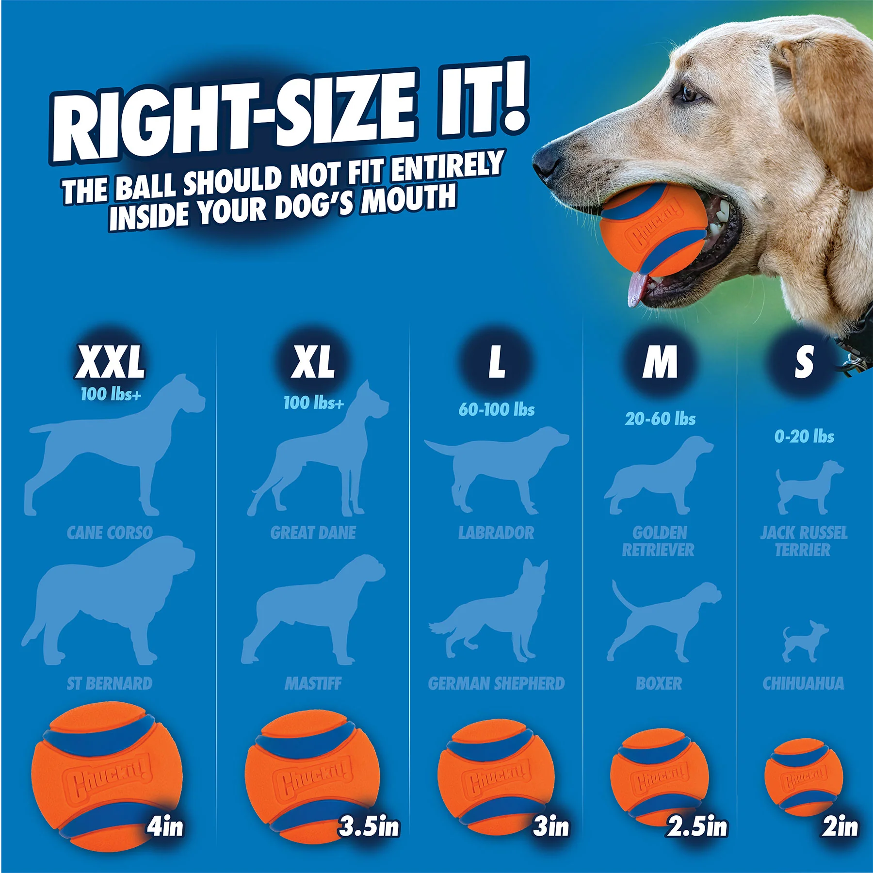 Chuckit! Max Glow Ultra Squeaker Ball - Image 4