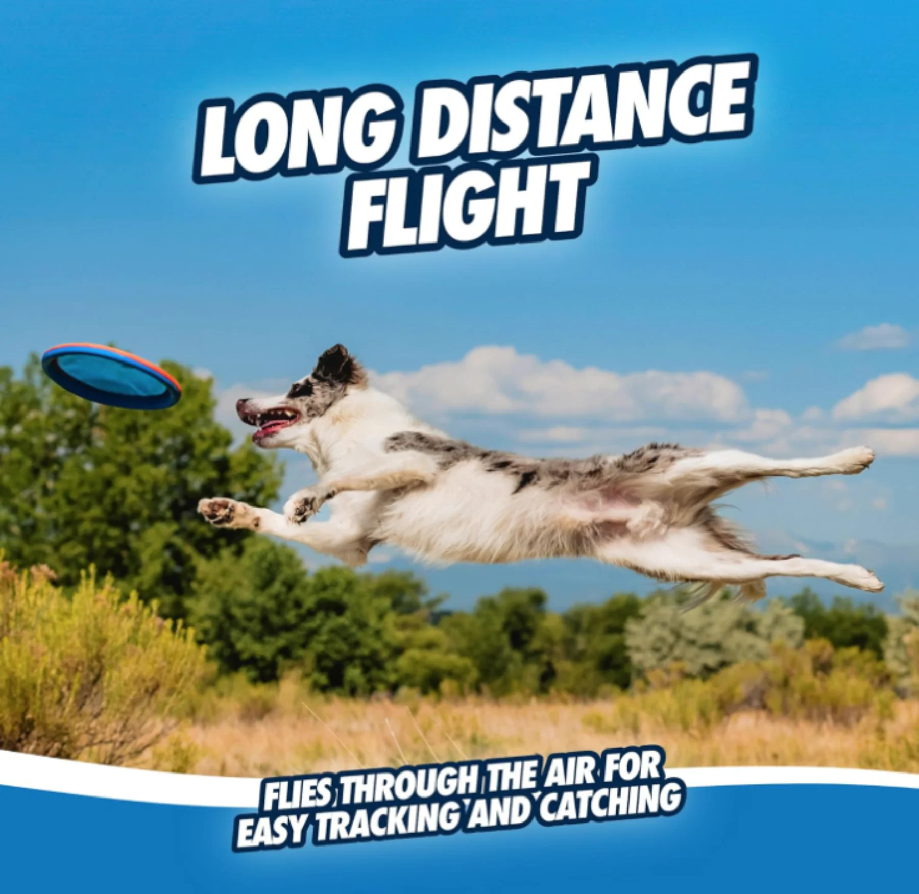 Chuckit! Paraflight Max Glow Flyer Dog Toy - Image 5