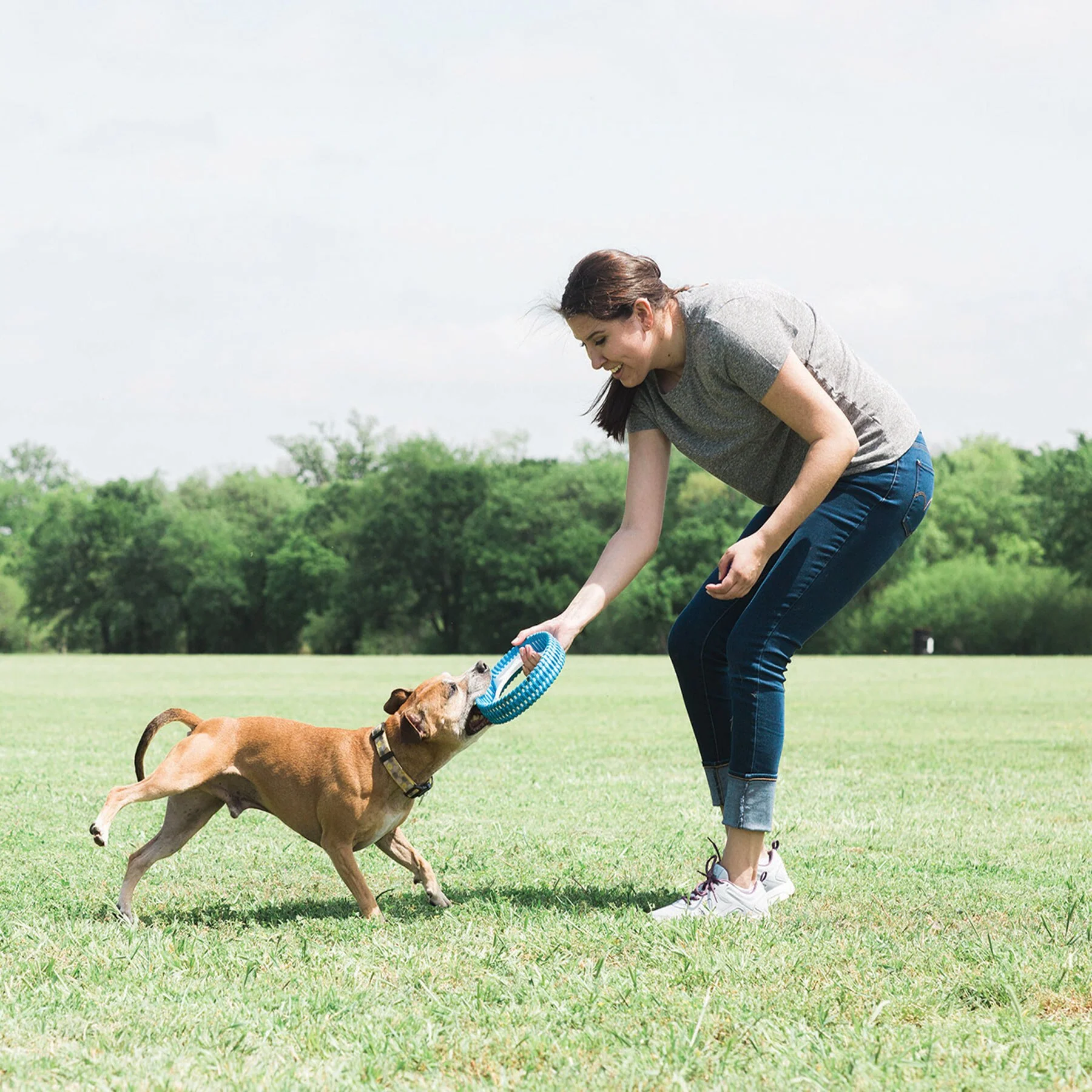 Chuckit! Rugged Fetch Wheel - Image 5