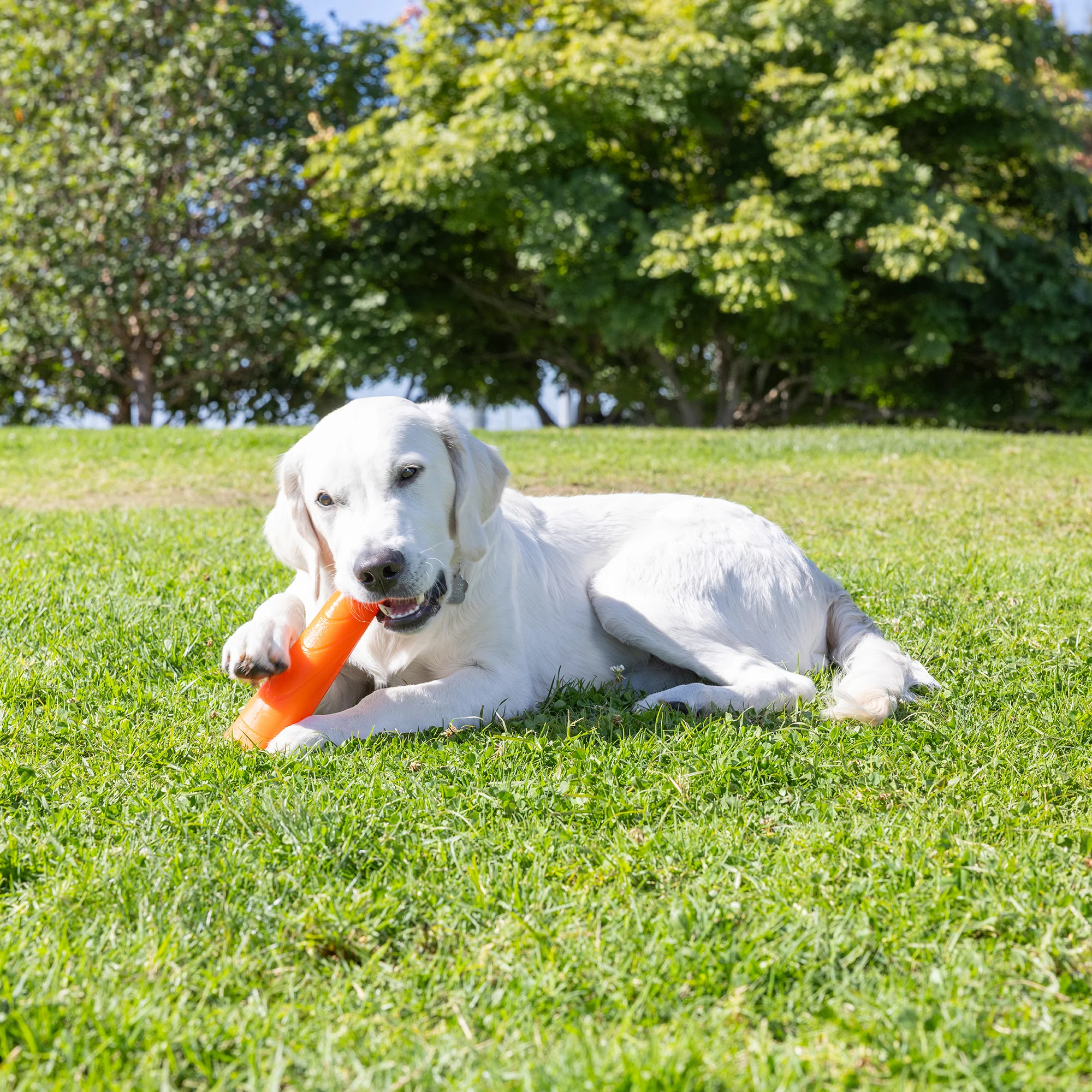 Chuckit! Super Crunch Stick - Image 5