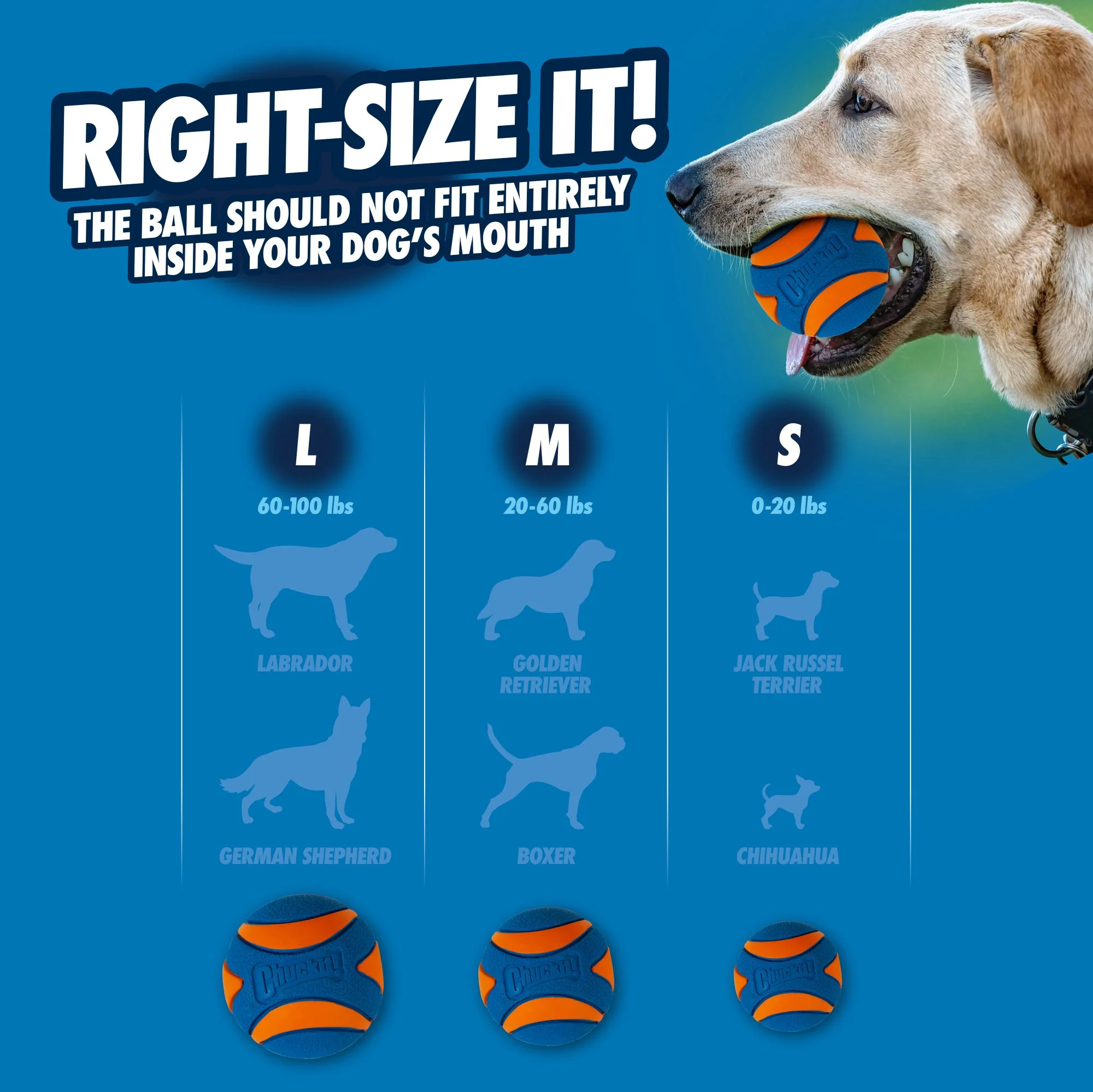Chuckit! Fetch Medley Gen 3 - Image 5