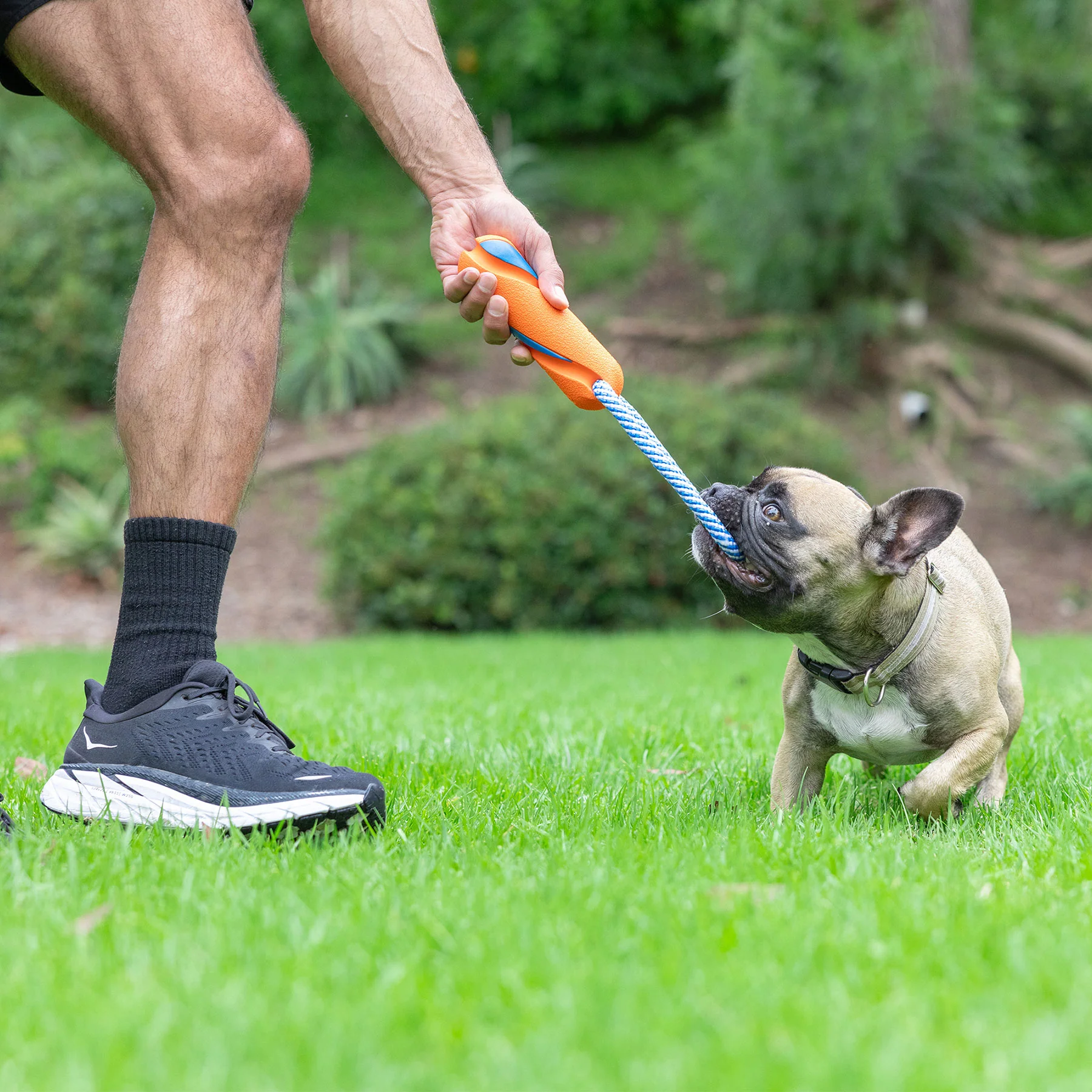 Chuckit! Ultra Bumper Tug Dog Toy - Image 6