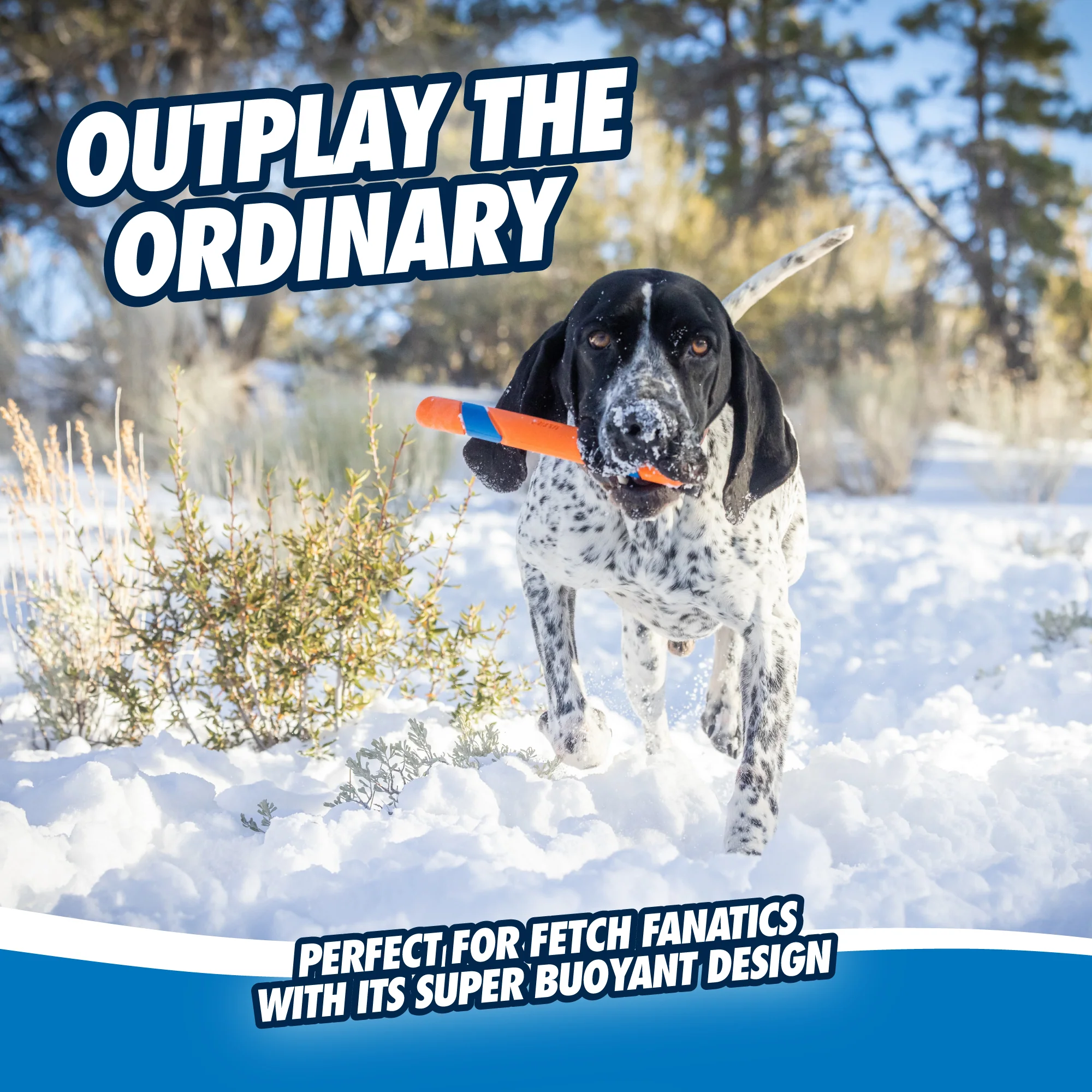 Chuckit! Ultra Fetch Stick - Image 4