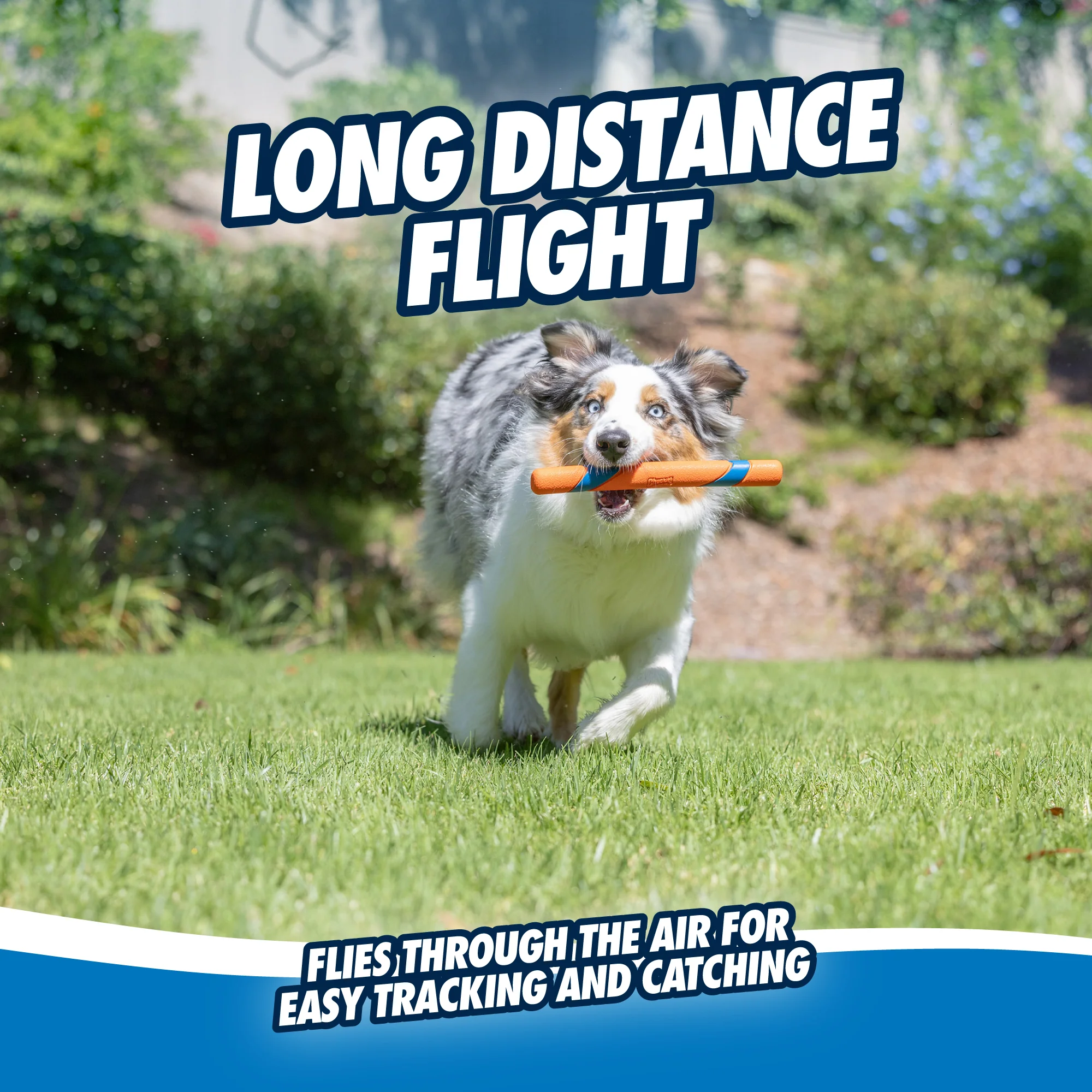 Chuckit! Ultra Fetch Stick - Image 5