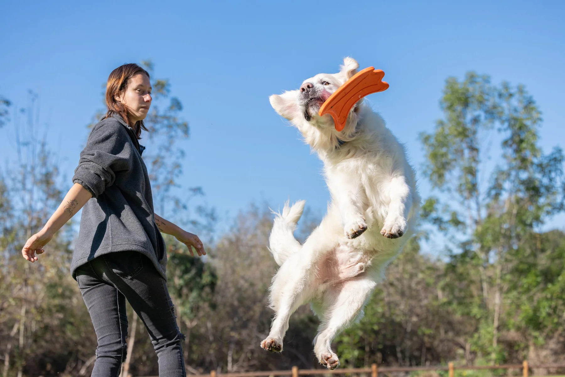 Chuckit! Ultra Flying Squirrel Outdoor Dog Fetch Toy - Image 5