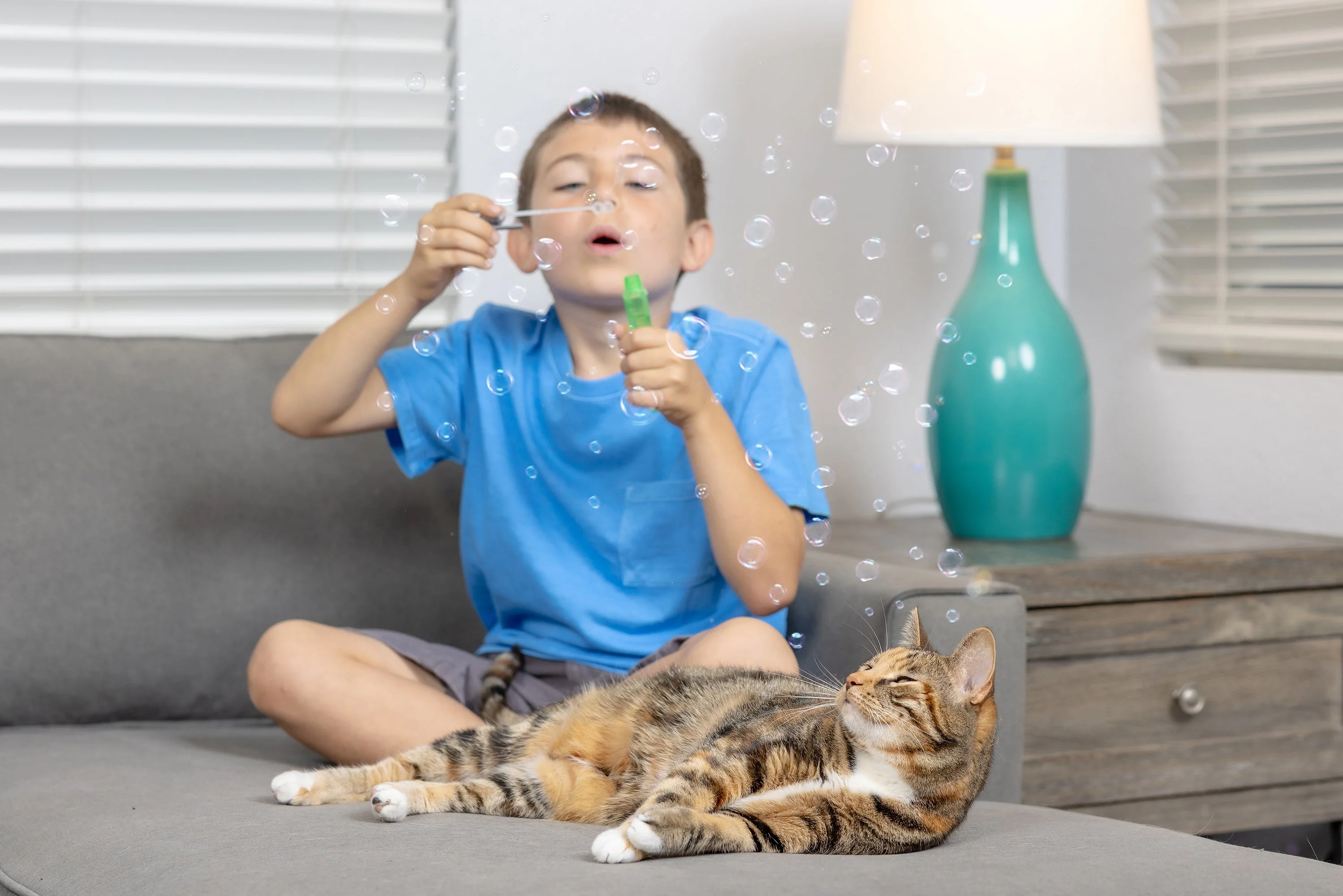Pet Qwerks Catnip IncrediBubbles for Cats - Image 4
