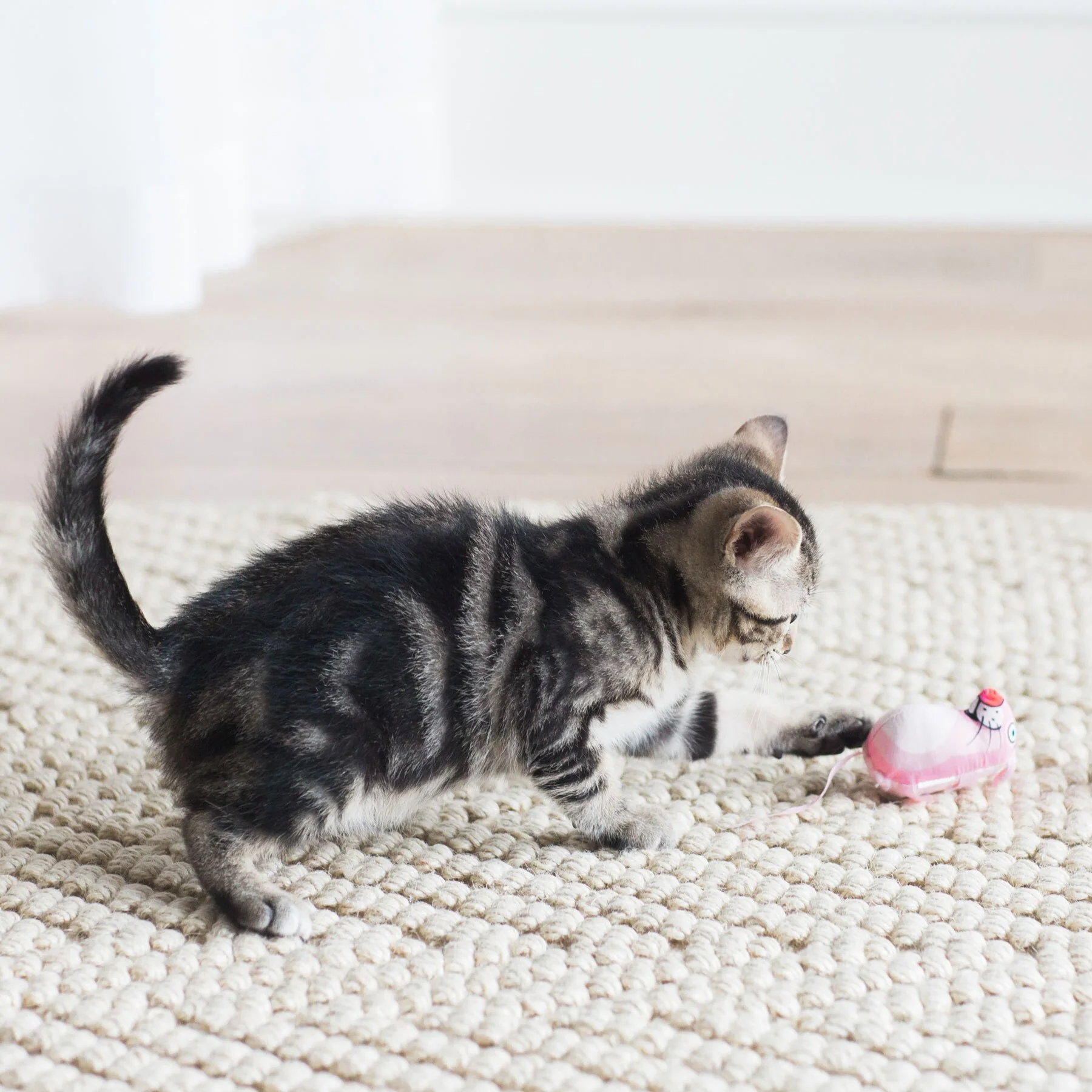 FAT CAT Classic Eeeks! Cat Toy - Image 3