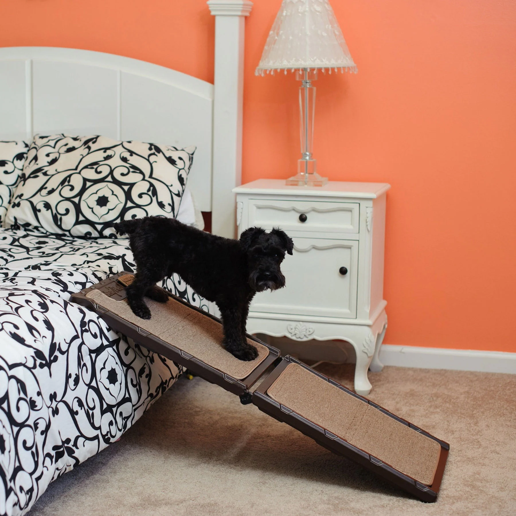 Gen7Pets Indoor Carpet Mini Ramp - Image 5