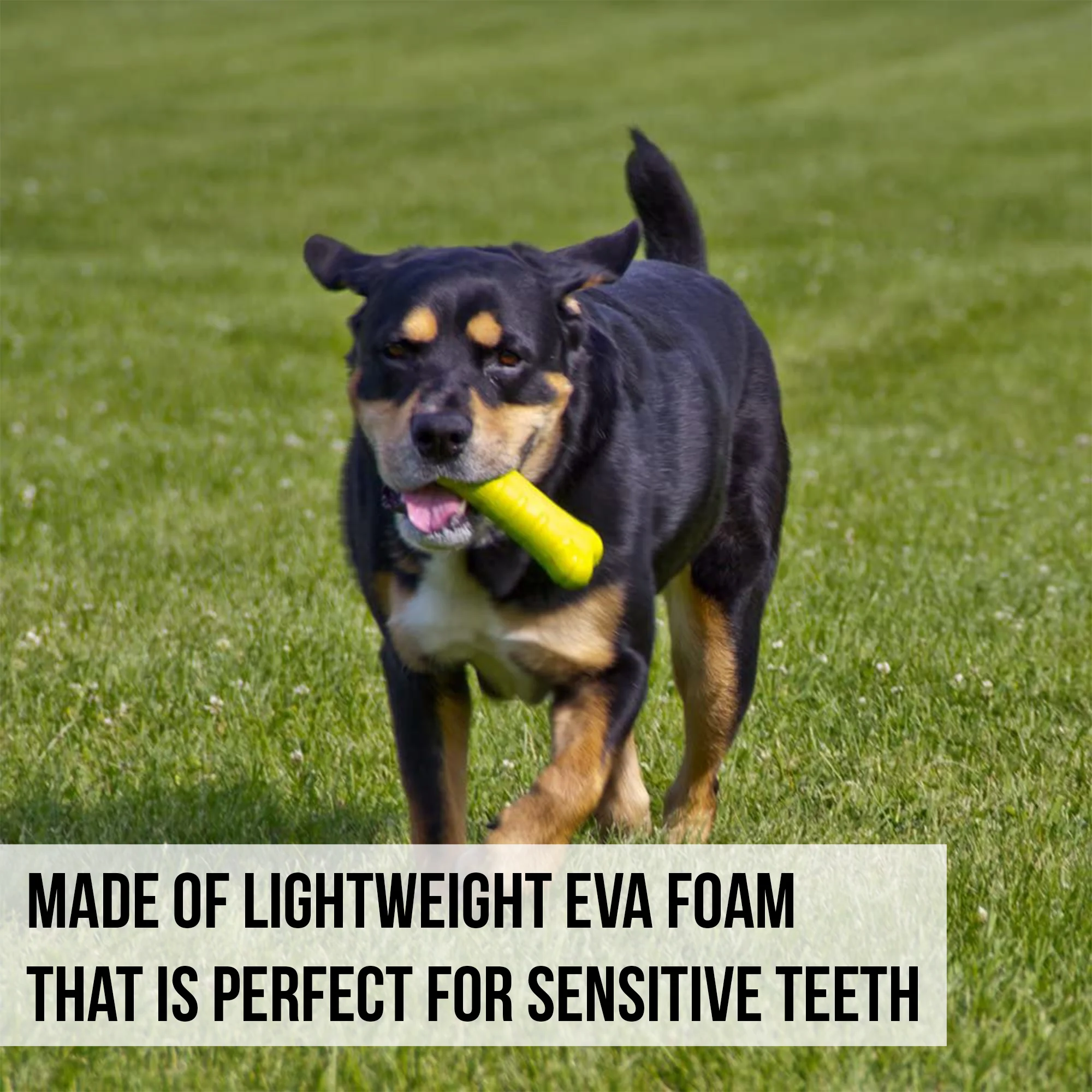 Hyper Pet Chewz Bone Dog Toy - Image 4