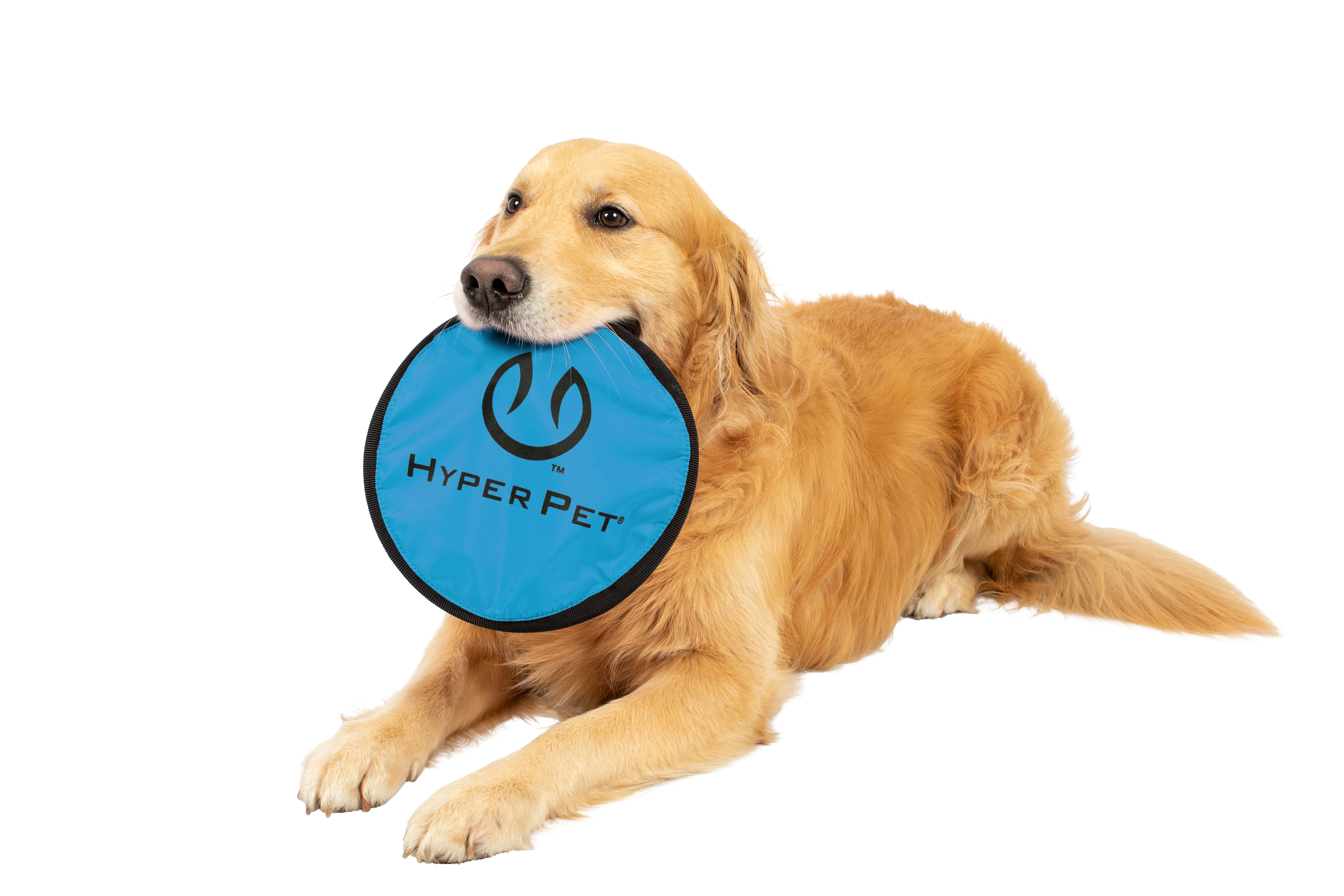 Hyper Pet Flippy Flopper 9" Flying Disc Assorted Colors - Image 4