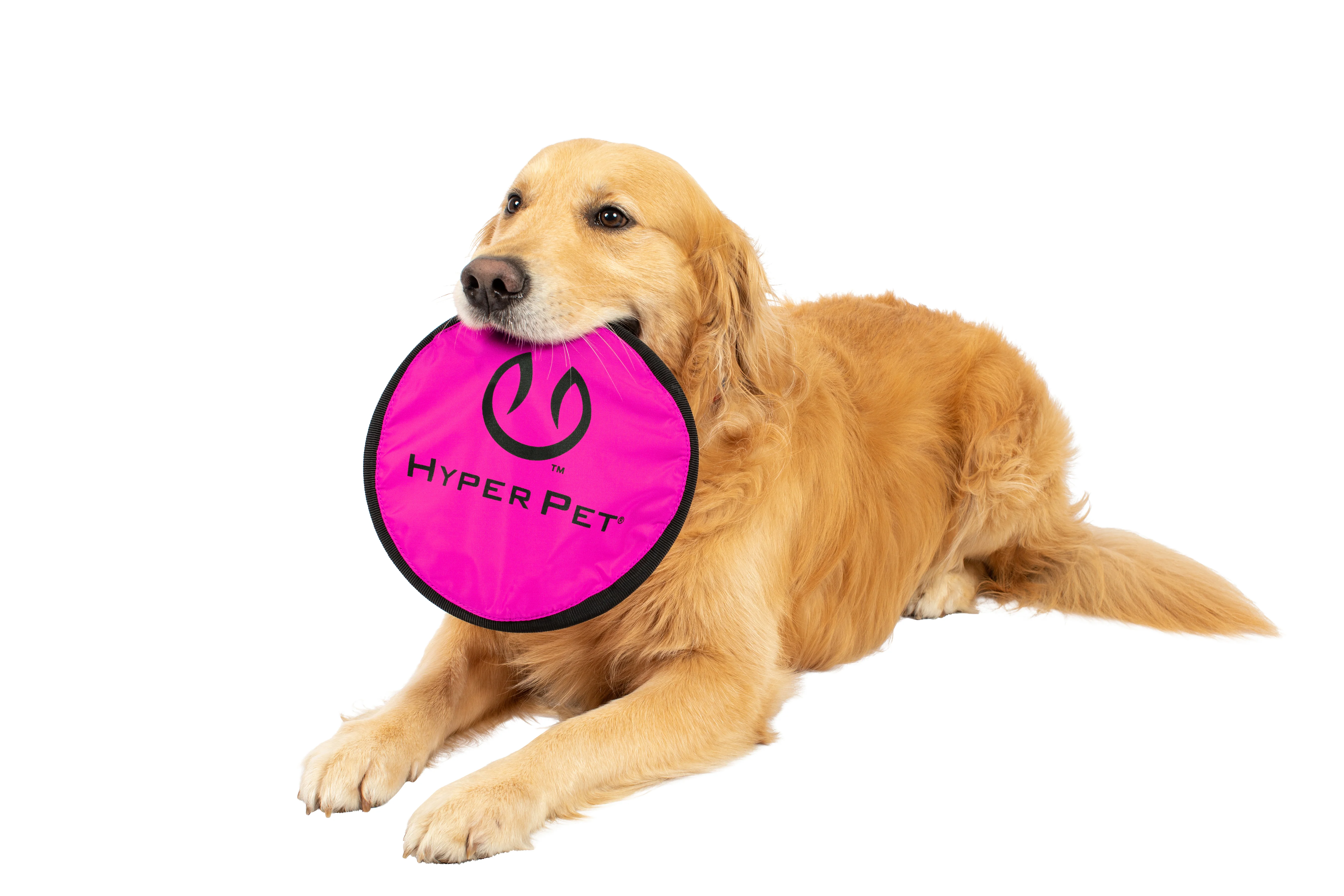 Hyper Pet Flippy Flopper 9" Flying Disc Assorted Colors - Image 5