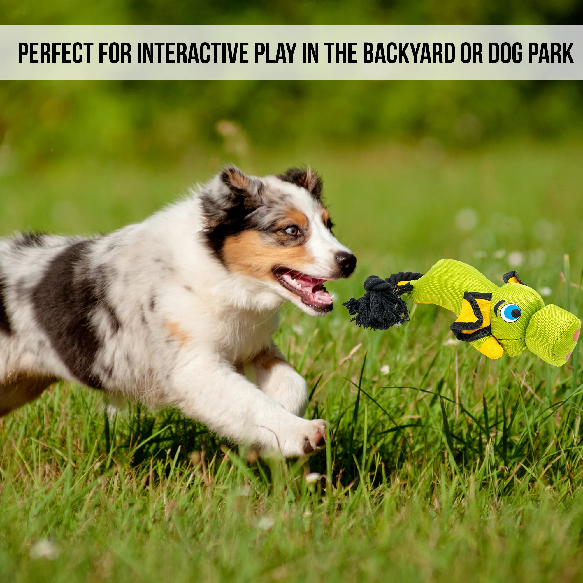 Hyper Pet Flying Pig Interactive Dog Toy - Image 7