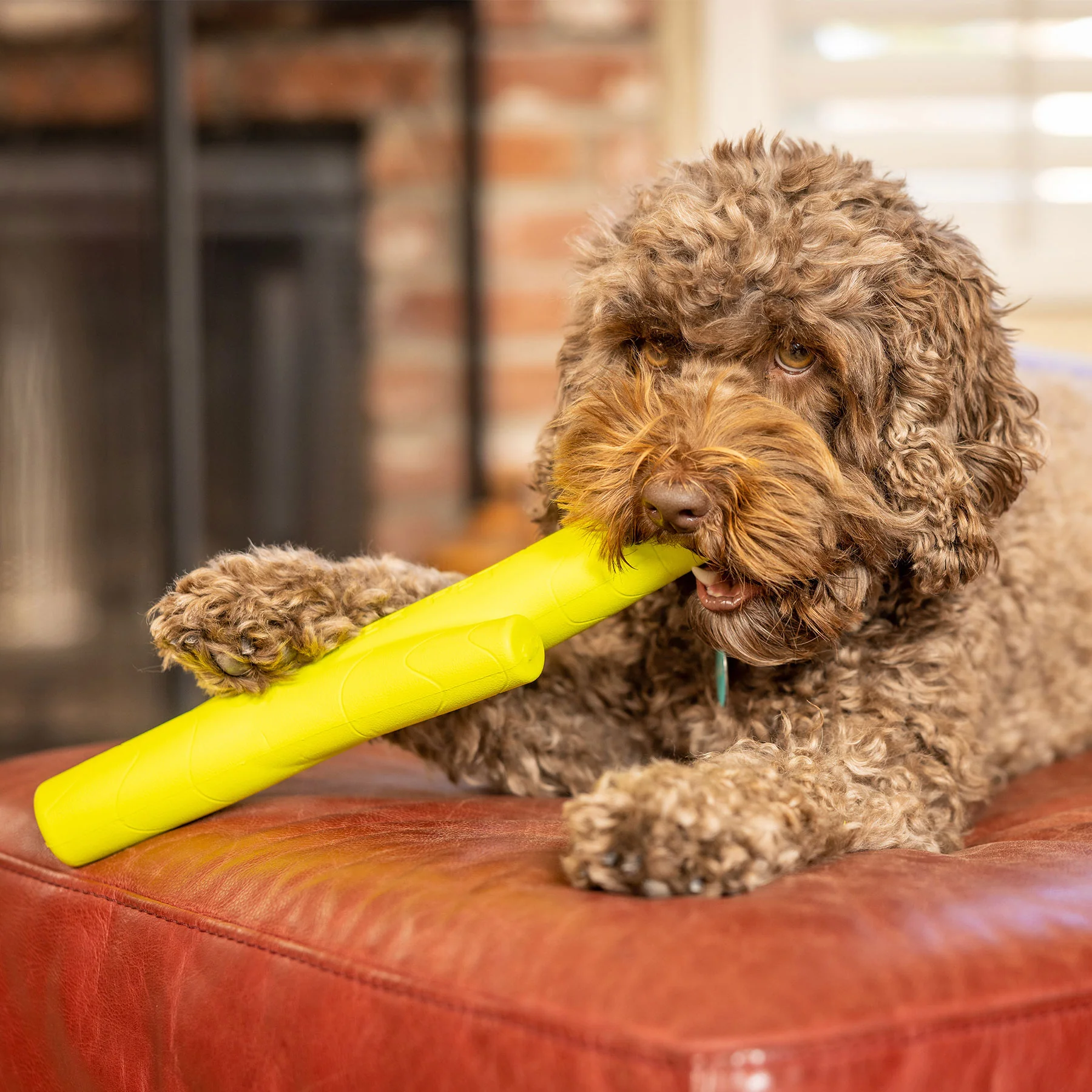 Hyper Pet Hyper Chewz Stick Dog Toy - Image 5