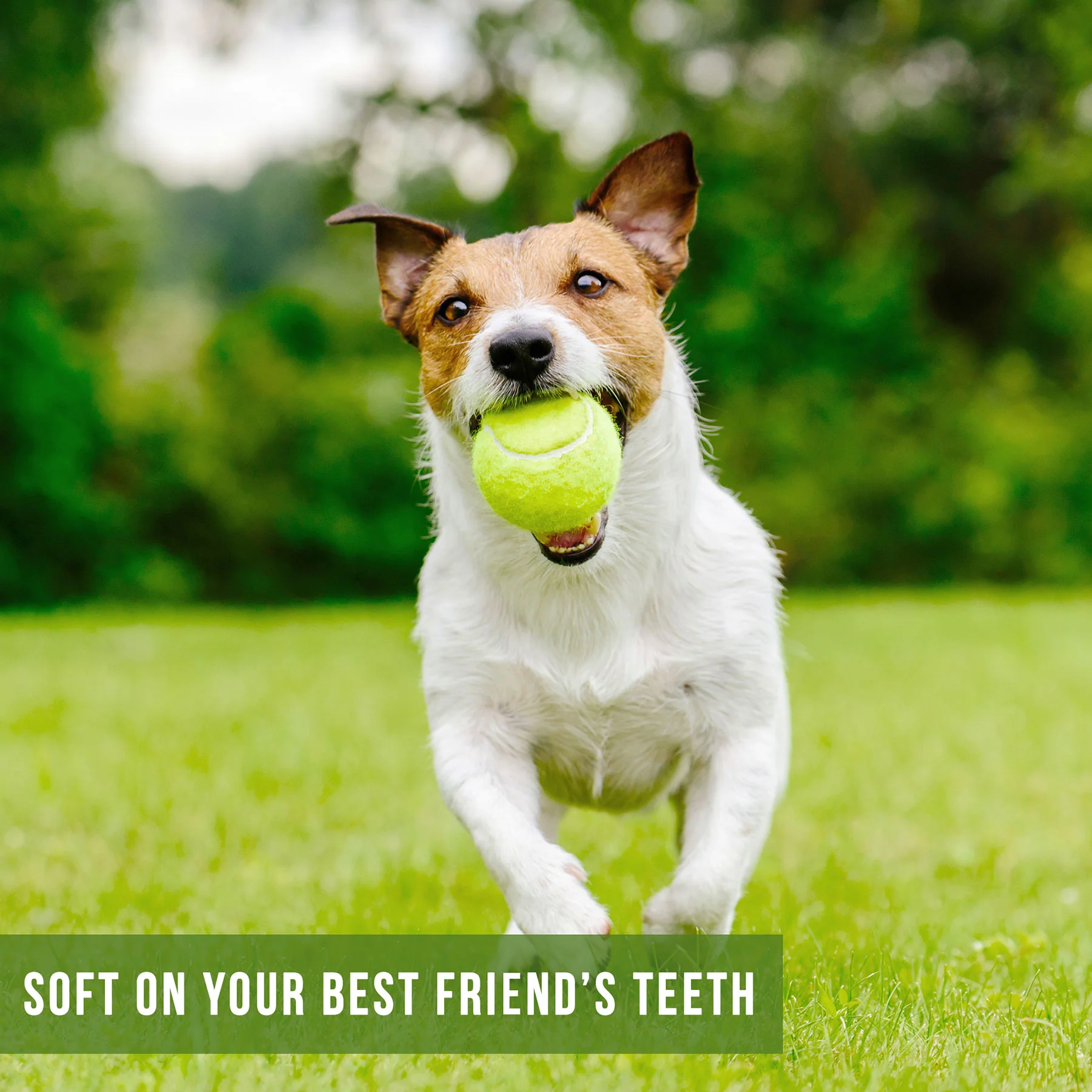 Hyper Pet Tennis Balls 4 Pack - Image 3