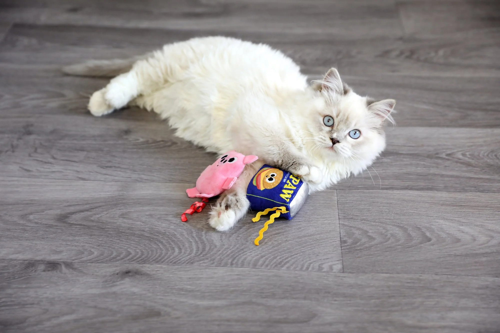 Mad Cat Canned Ham - Image 4