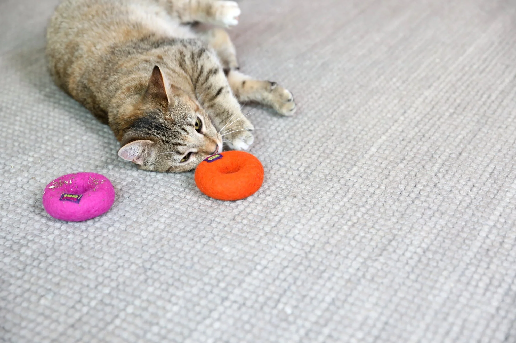 Mad Cat Wacky Wool Rings - Image 4