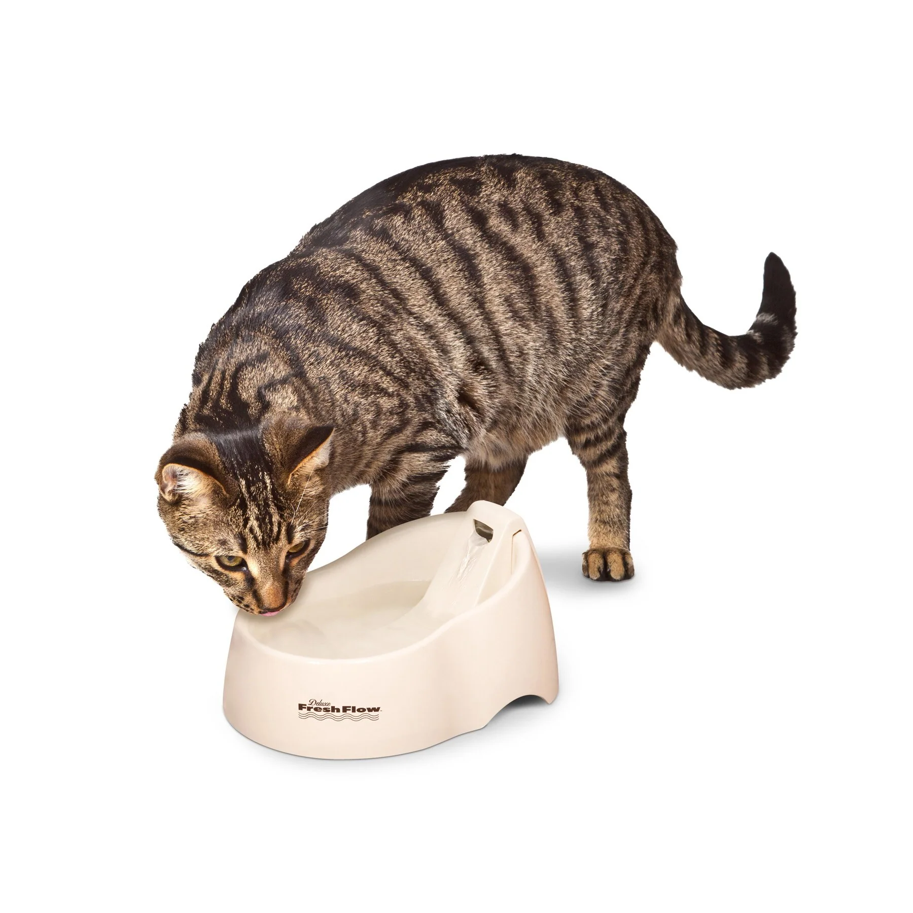 Petmate Deluxe Fresh Flow Fountain For Cats - Image 4