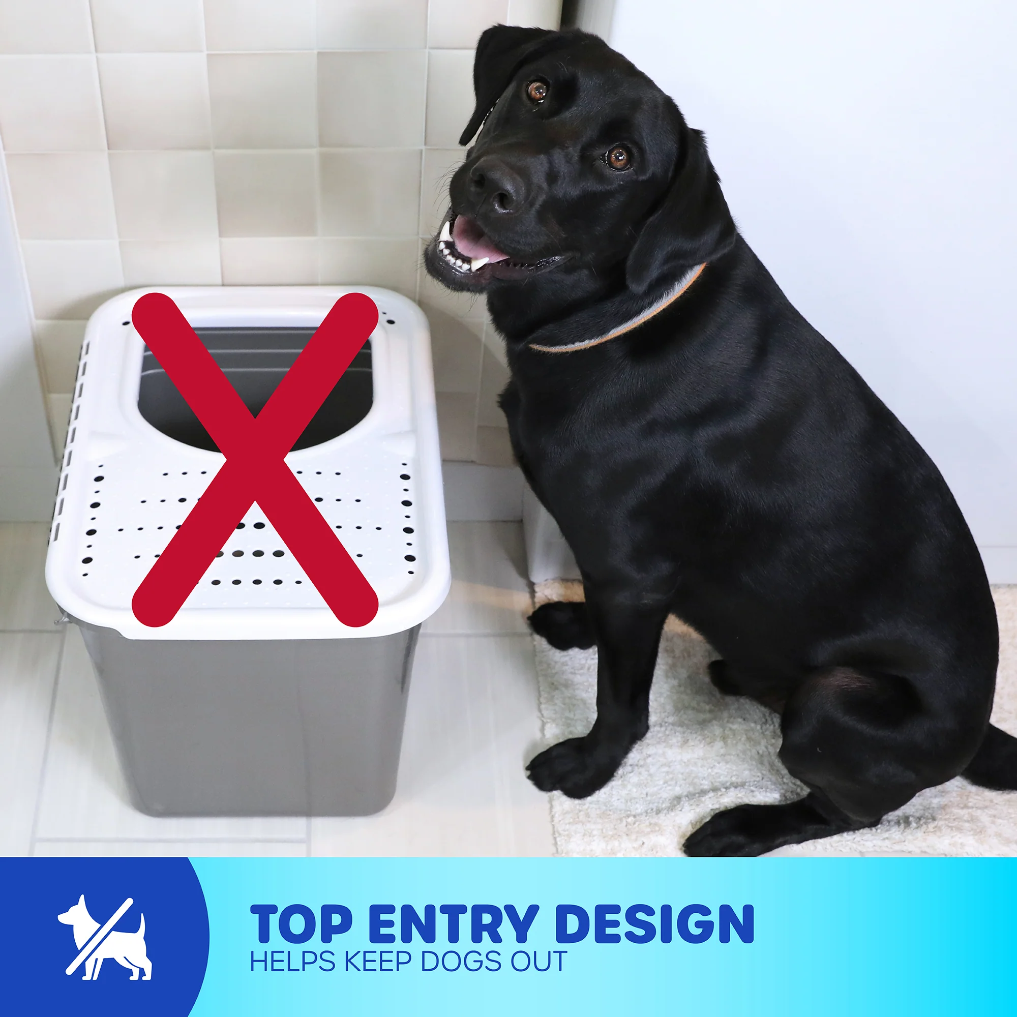 Petmate Top Entry Litter Box - Image 5