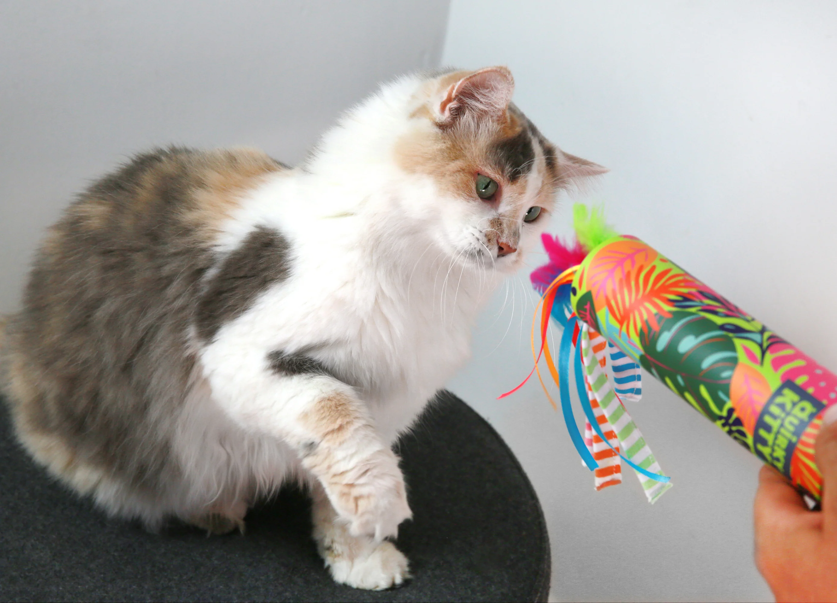 Quirky Kitty® Peek & Pounce Wand - Image 3