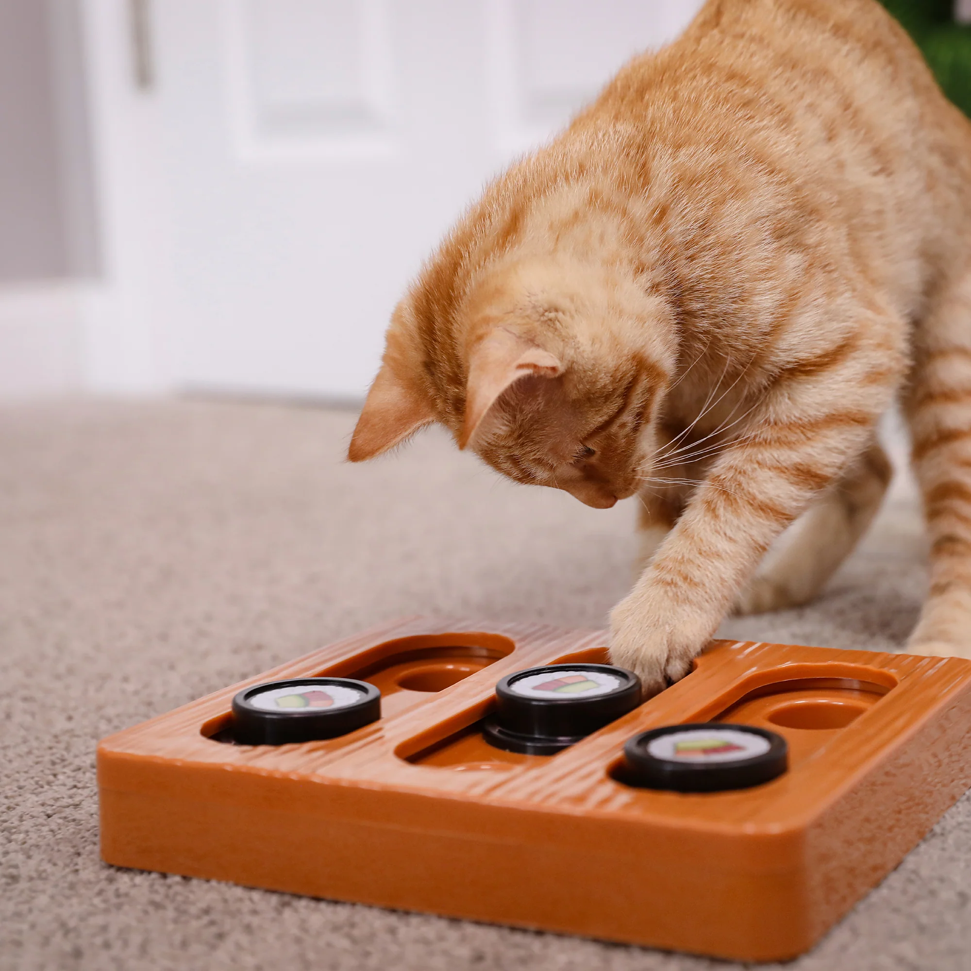 Quirky Kitty Sushi Bento Box Puzzle Cat Toy - Image 3