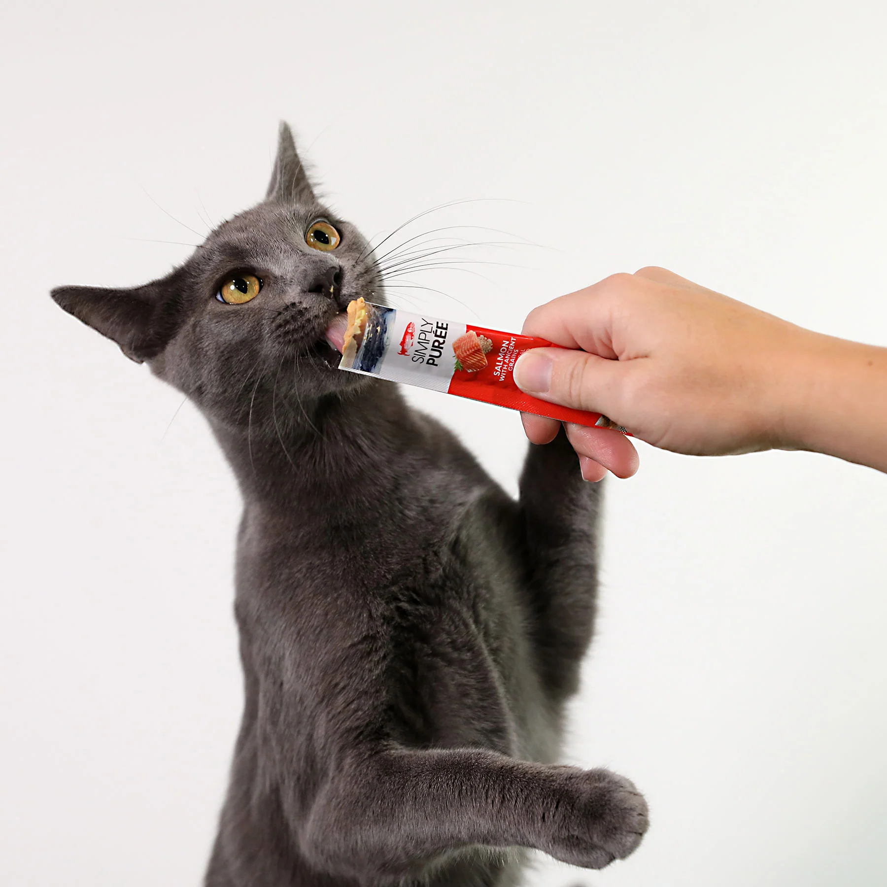 Wild Eats Simply Puree Salmon Cat Treat - Image 4