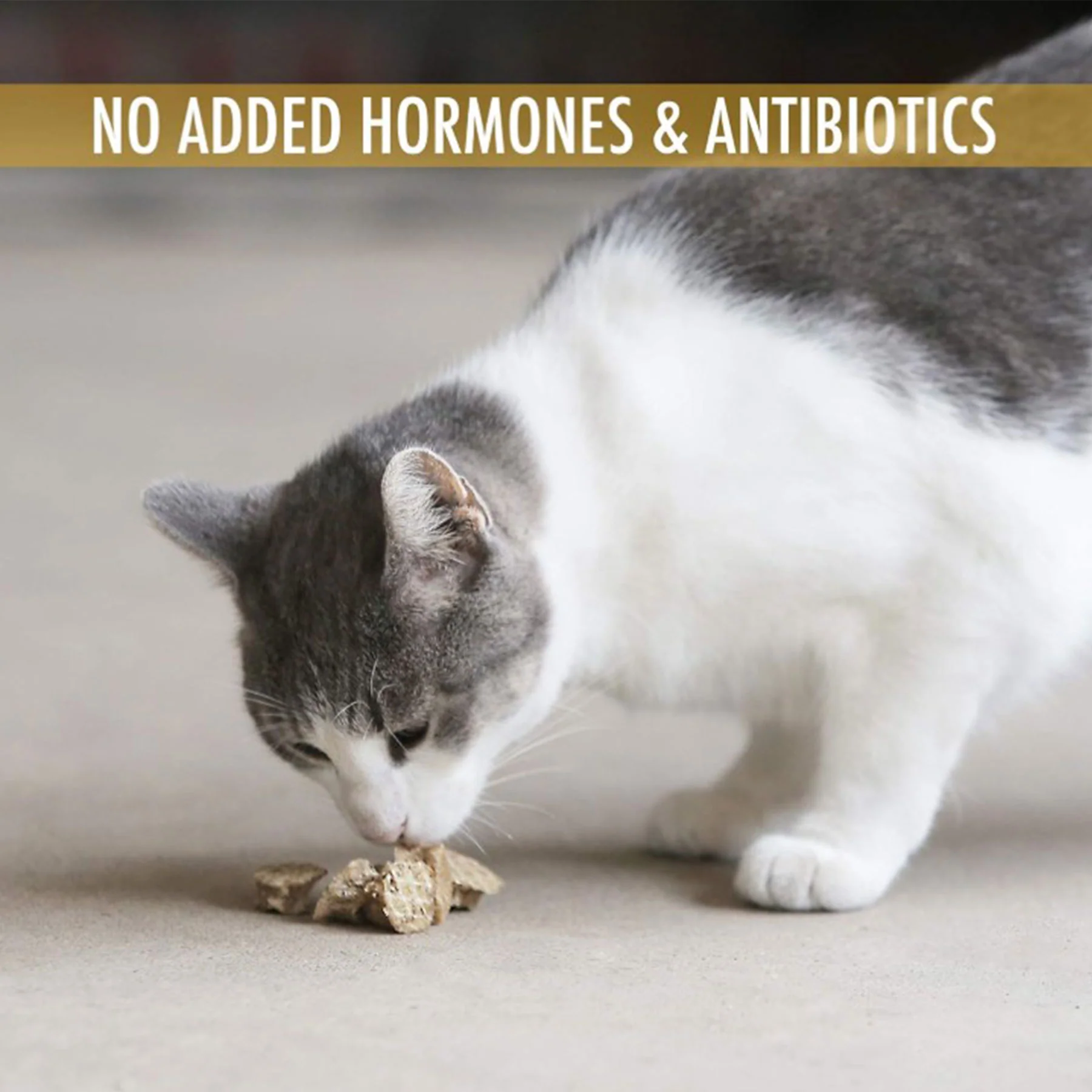 Wild Eats Cod Treats - Image 5