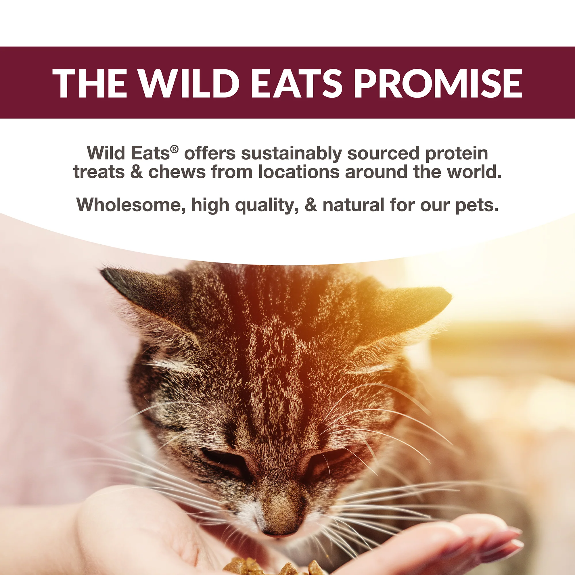 Wild Eats Simply Puree Variety Pack - Image 9