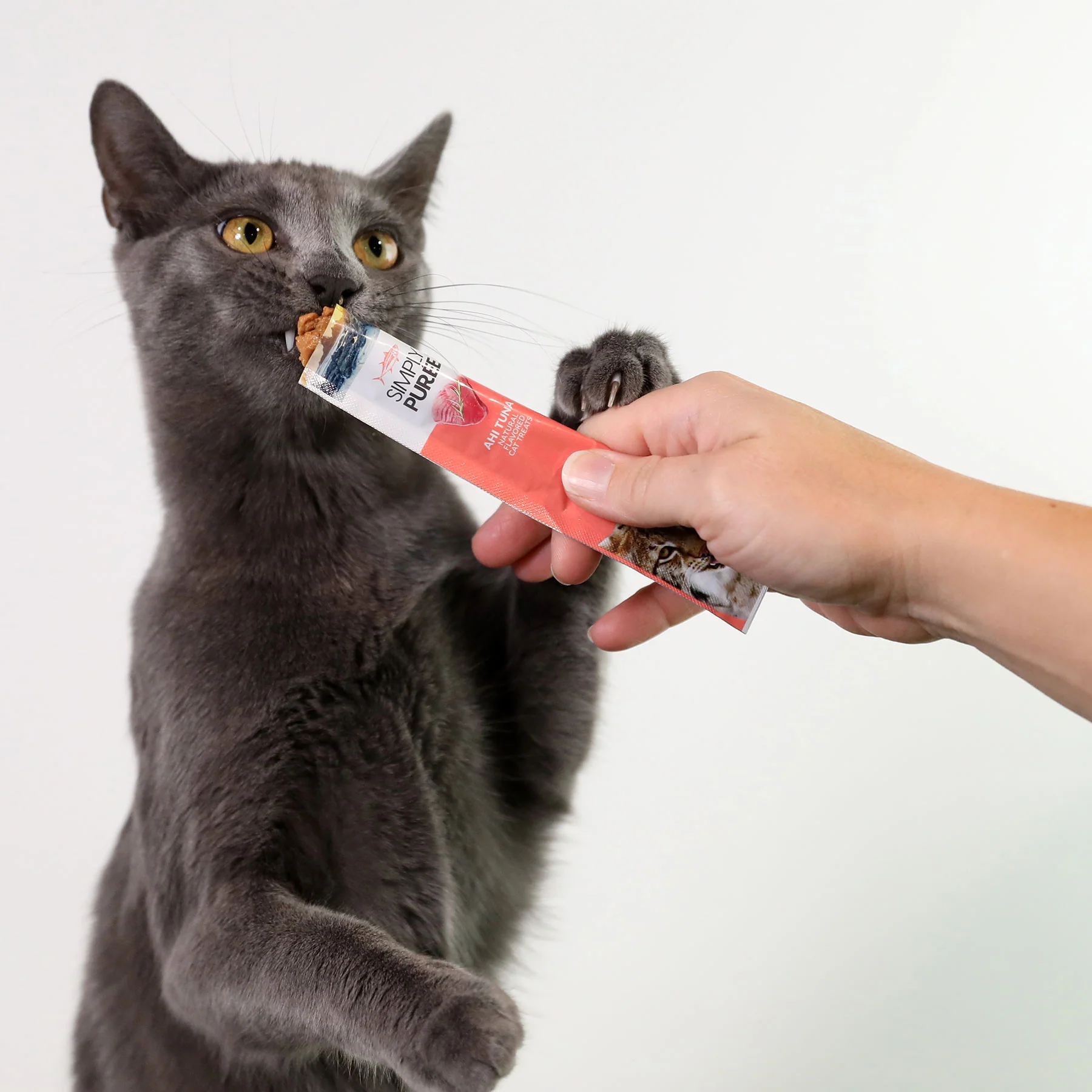 Wild Eats Simply Puree Ahi Tuna Cat Treat - Image 3